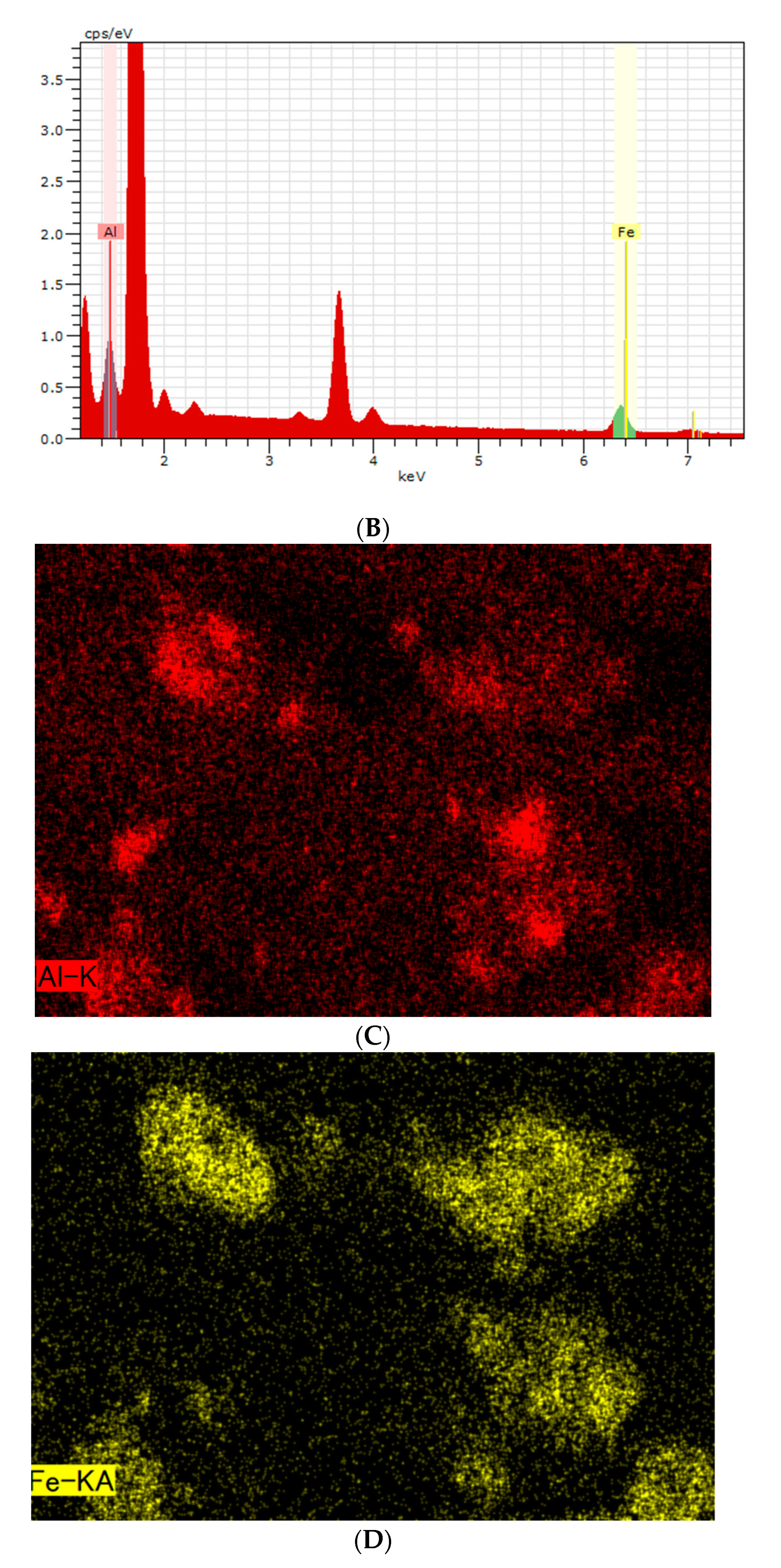 Medicina 56 00630 g004b