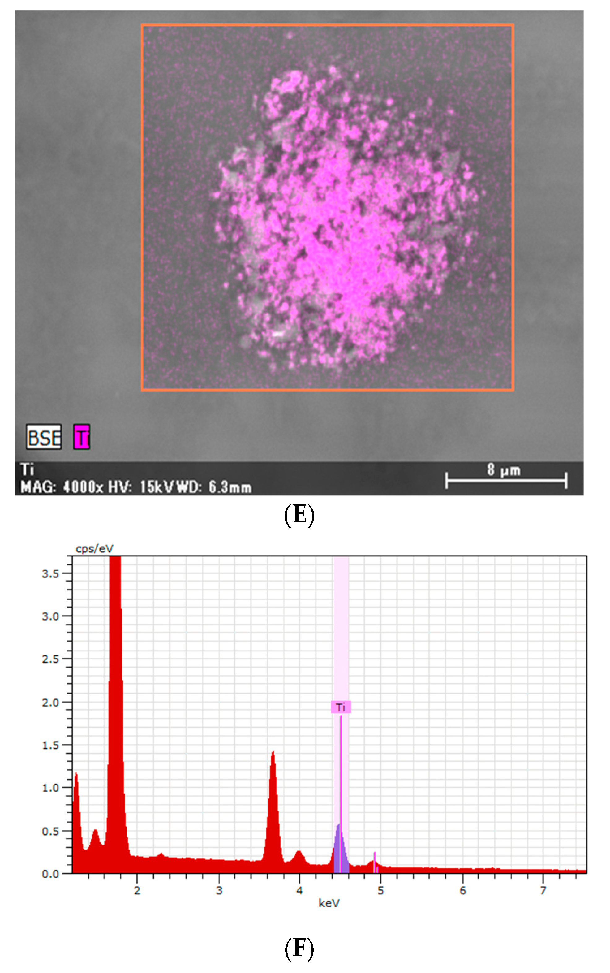 Medicina 56 00630 g004c