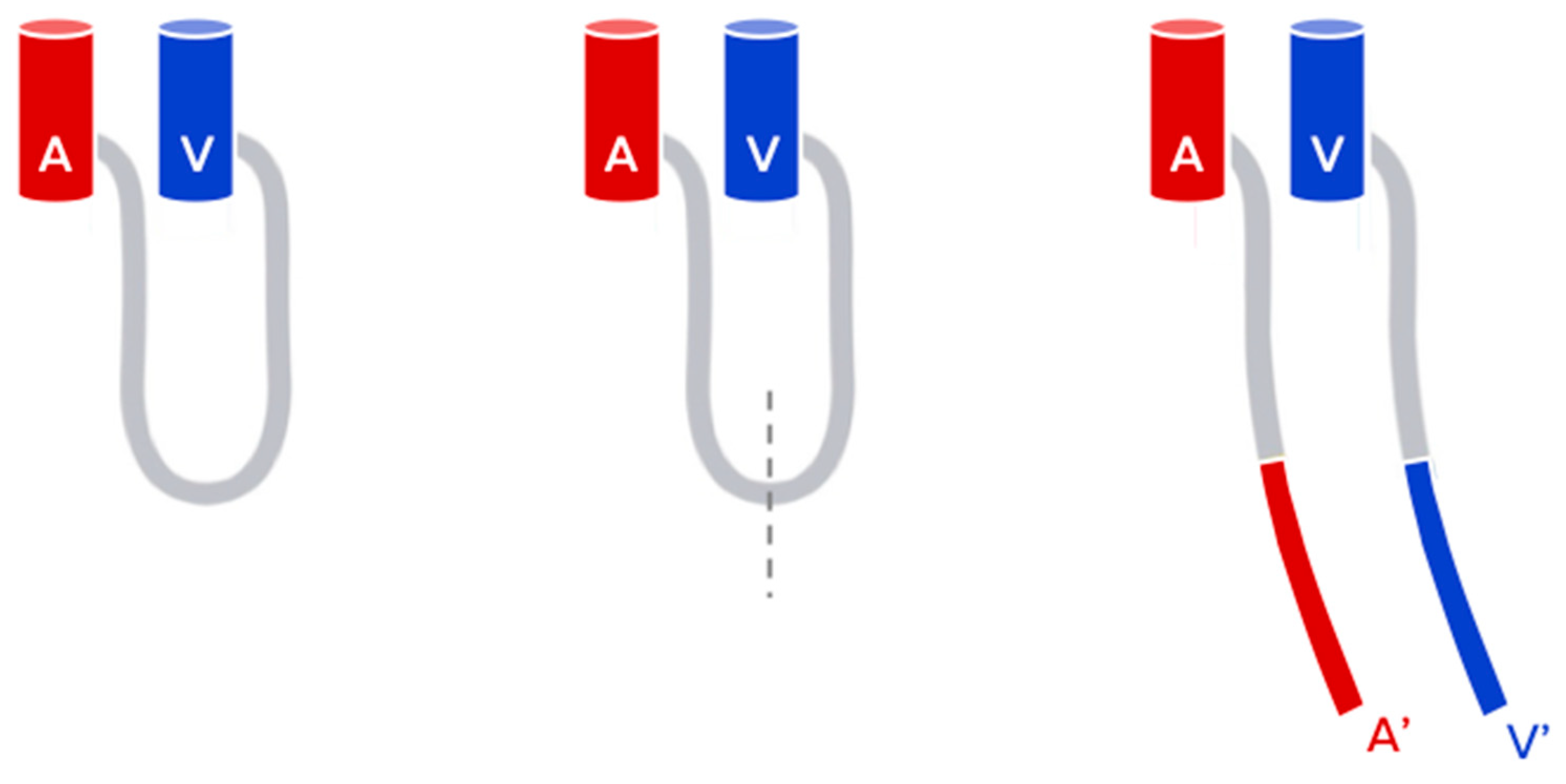 Medicina 56 00632 g001