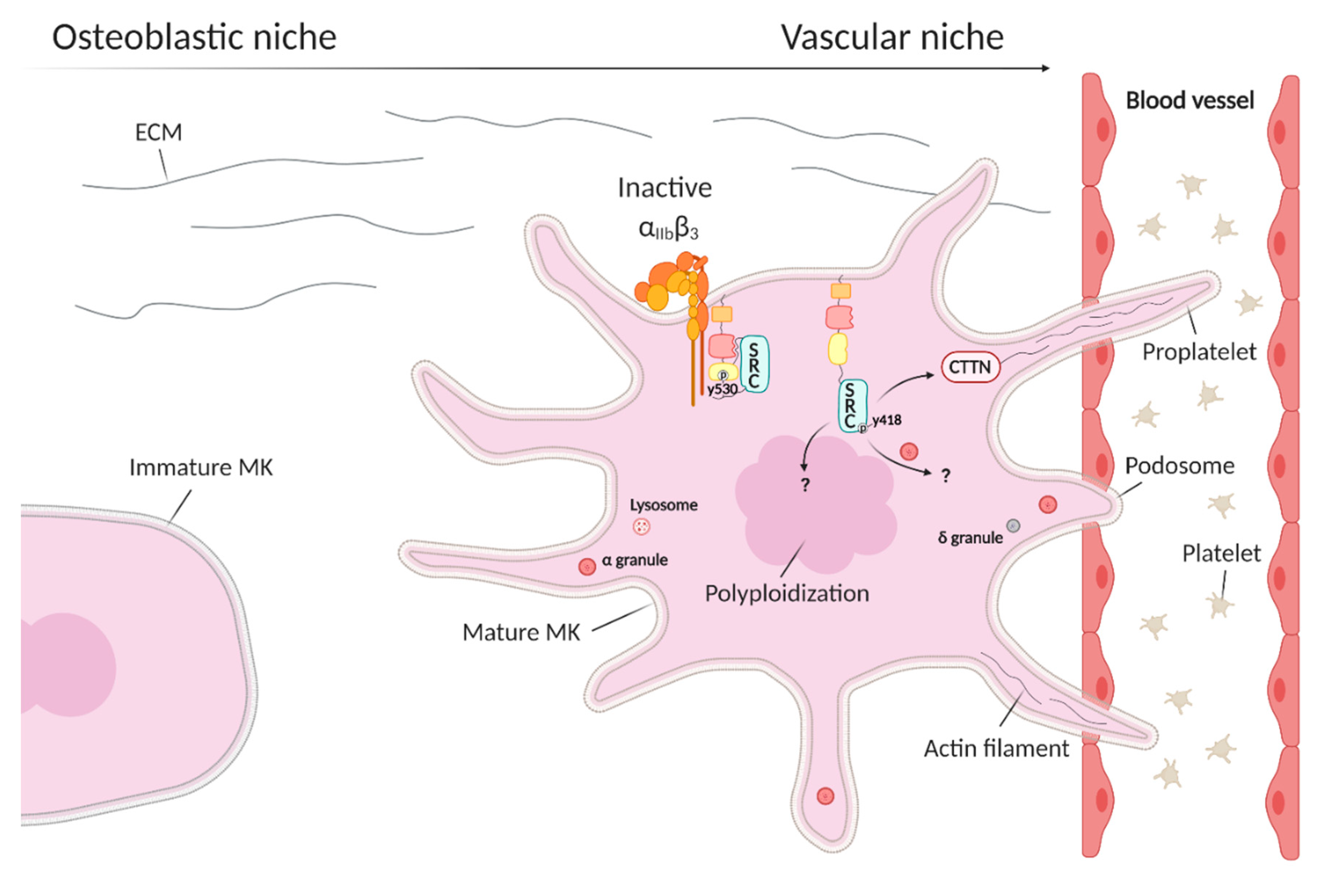 Medicina 56 00633 g003