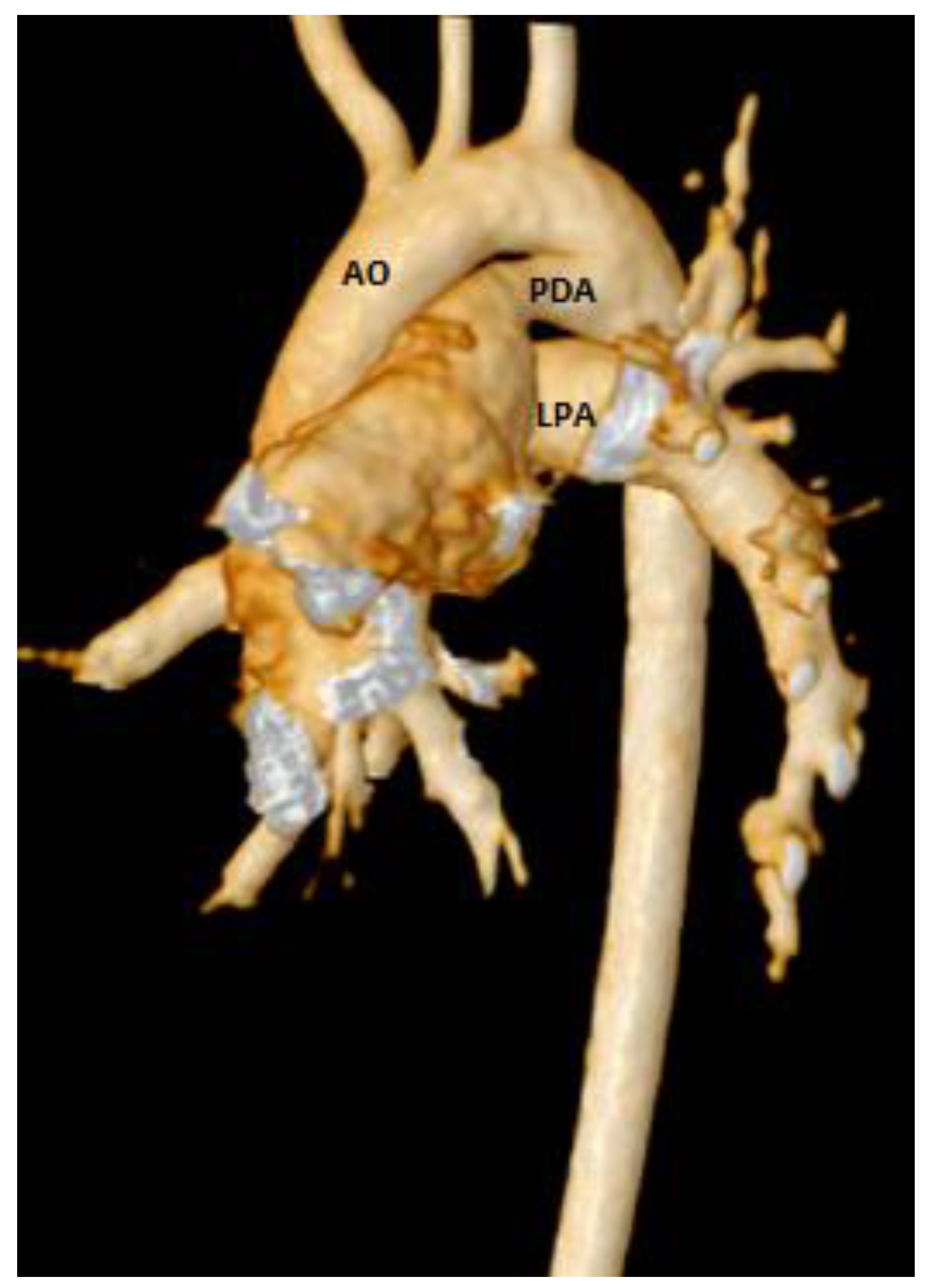 Medicina 56 00636 g005 Medicina 56 00636 g005