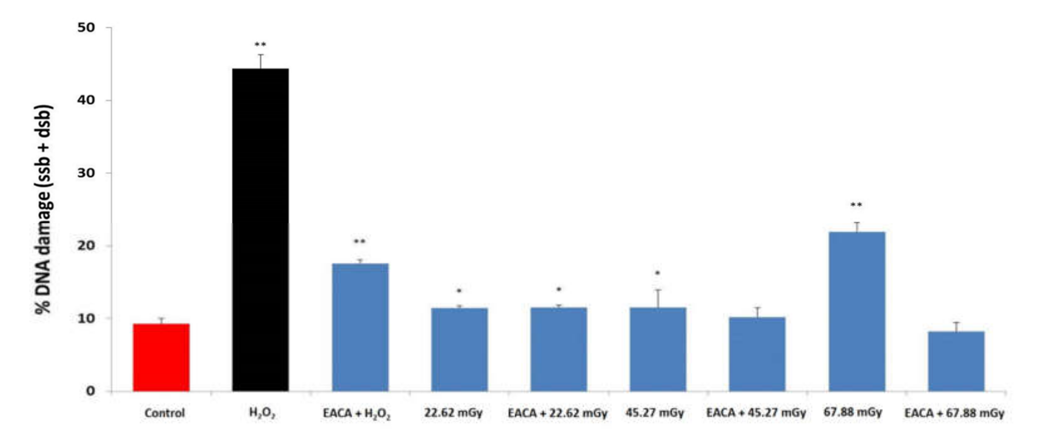 Medicina 56 00663 g004 Medicina 56 00663 g004