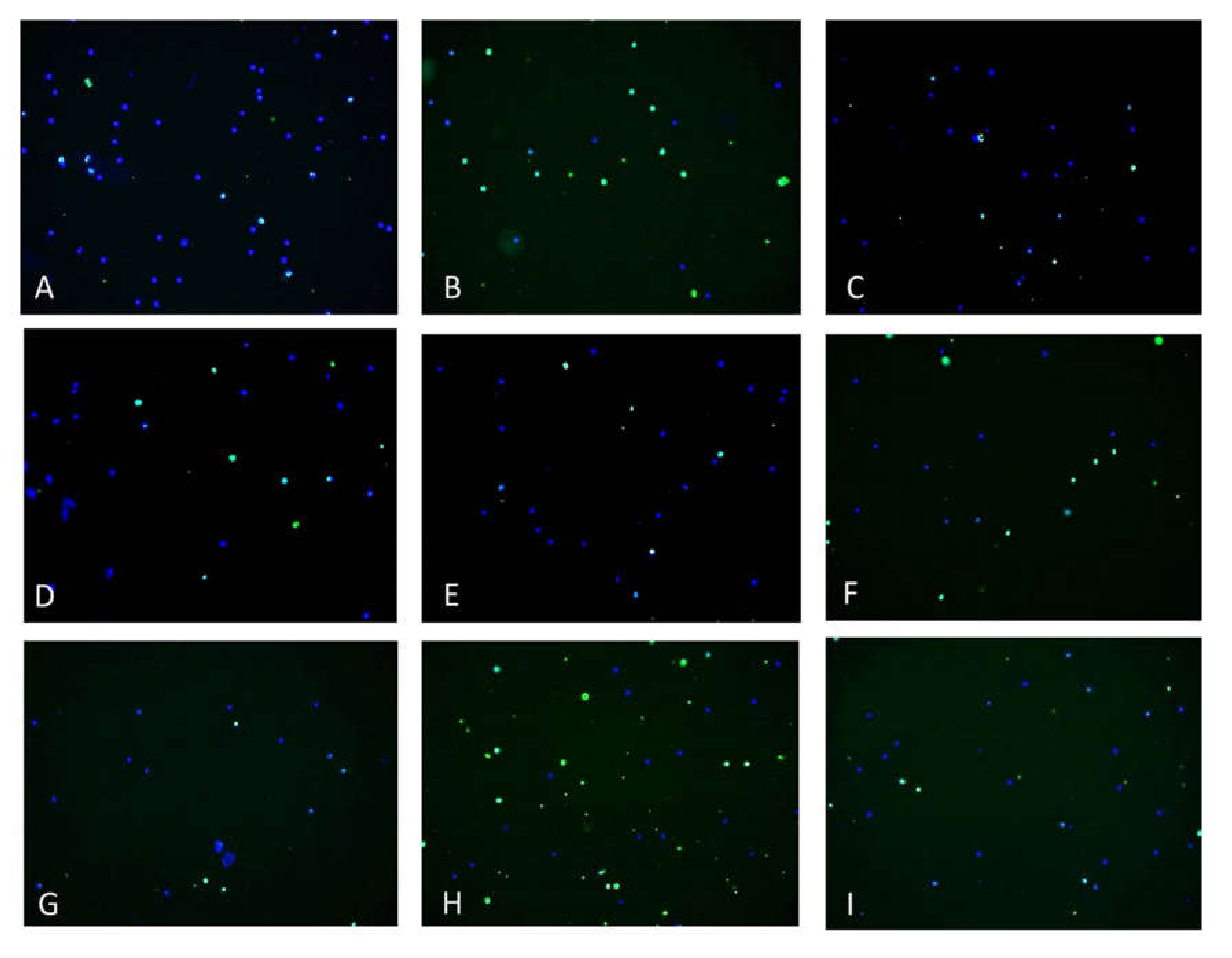Medicina 56 00663 g007 Medicina 56 00663 g007
