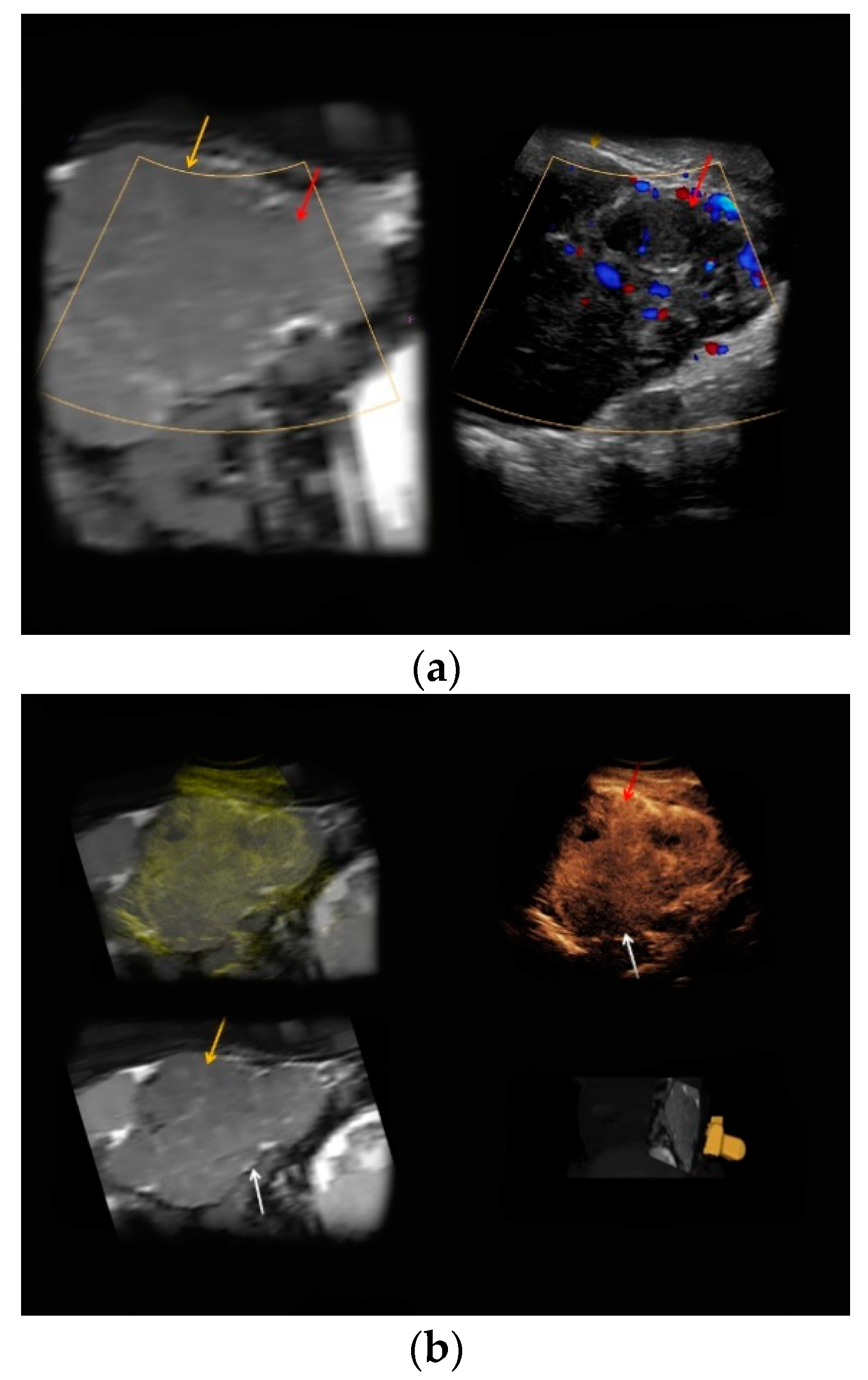 Medicina 56 00675 g001
