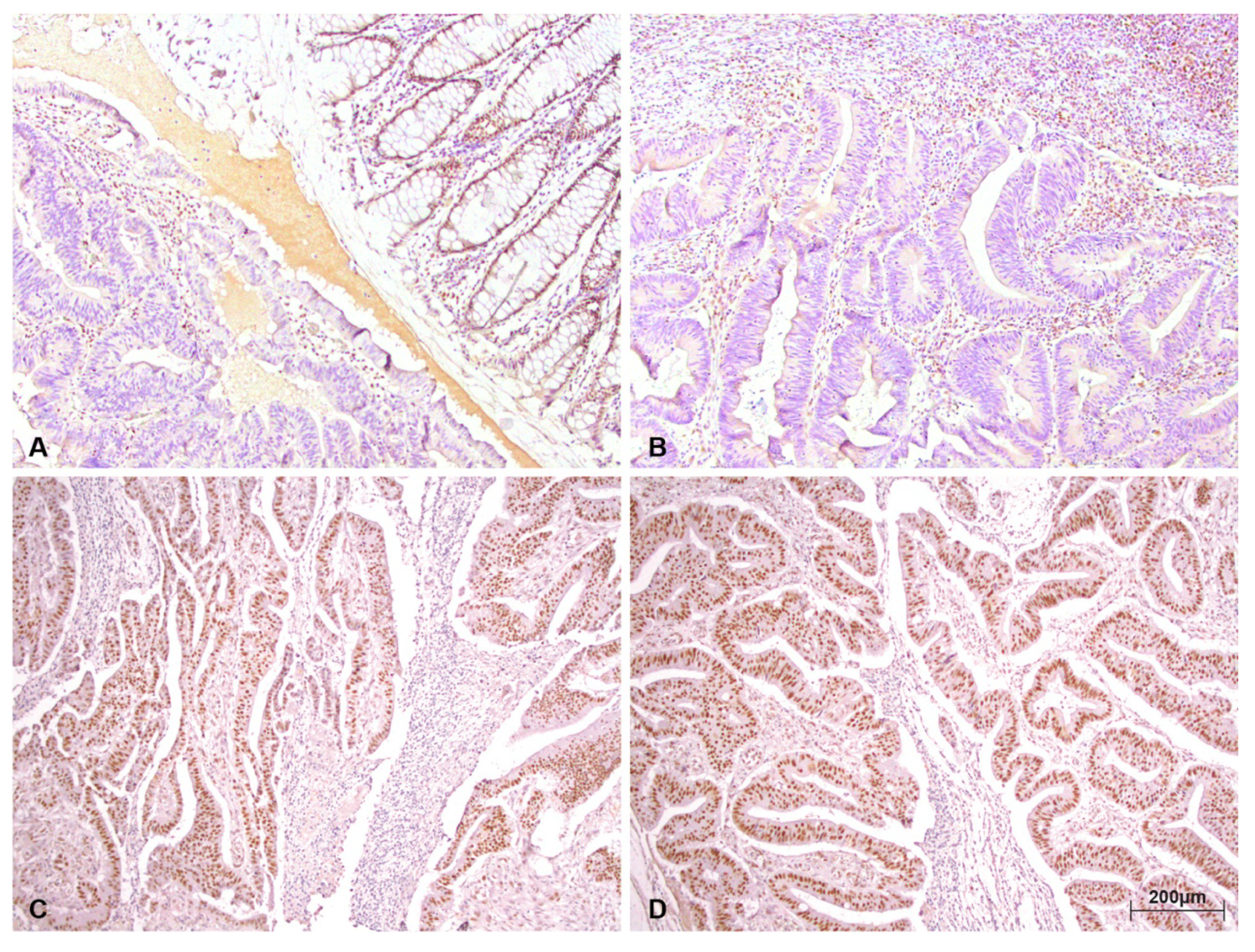 Medicina 56 00676 g001 Medicina 56 00676 g001