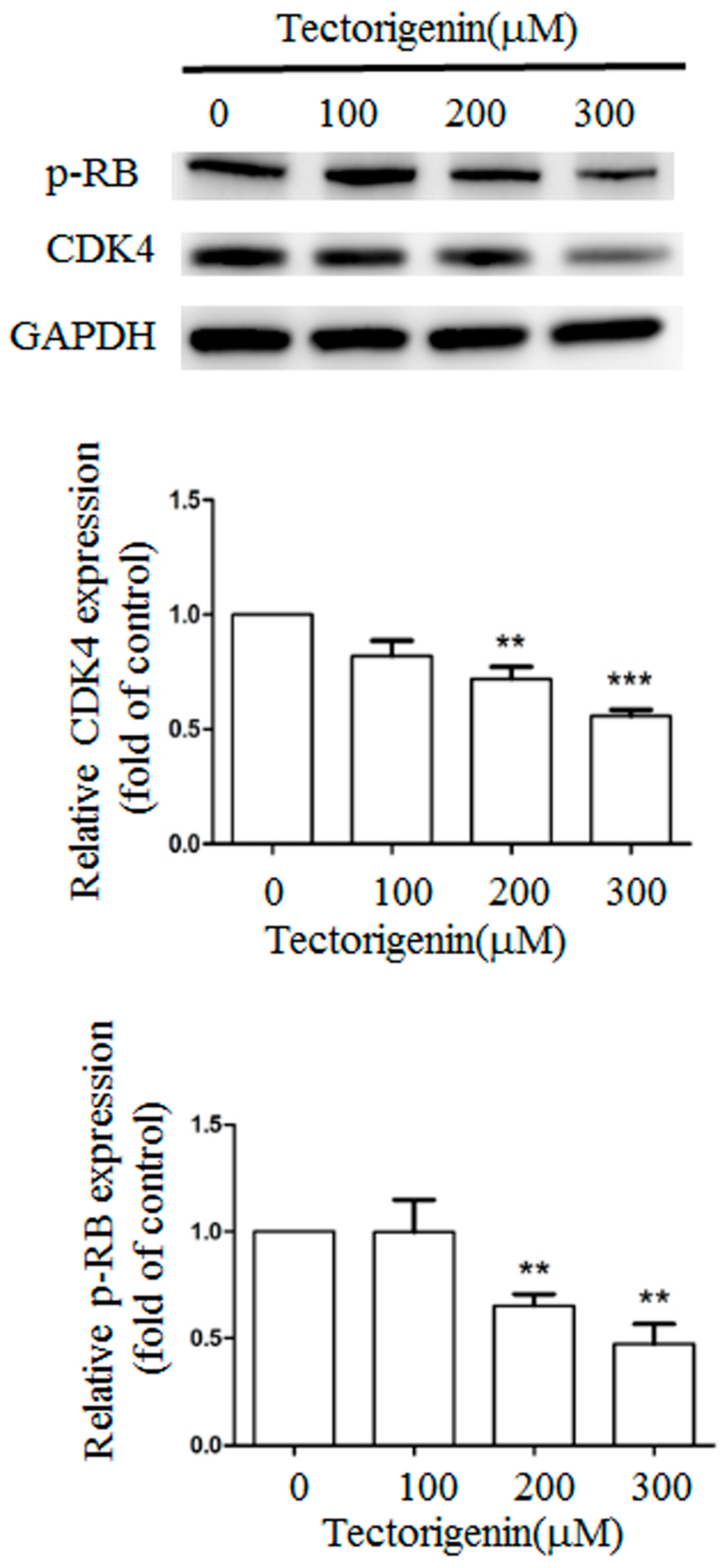 Medicina 56 00681 g003