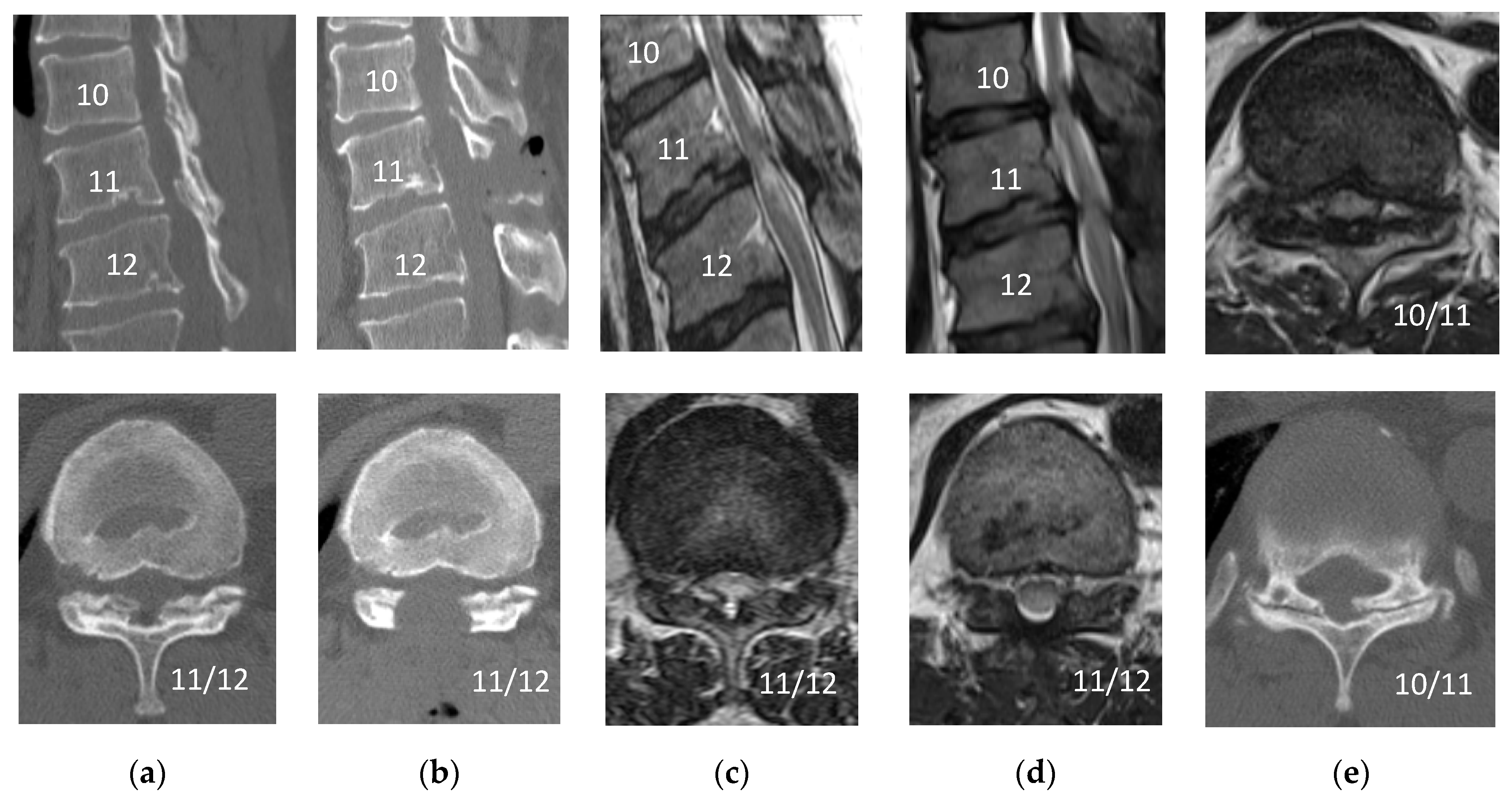 Medicina 56 00684 g003