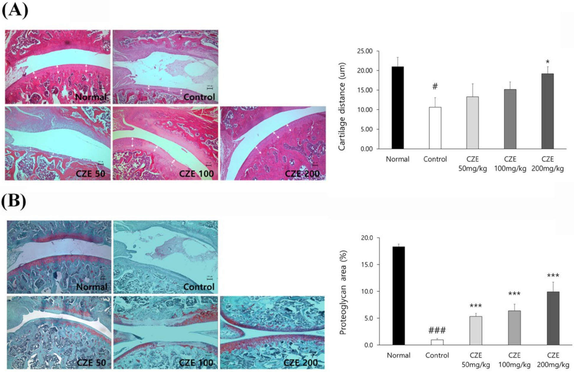 Medicina 56 00685 g003 Medicina 56 00685 g003