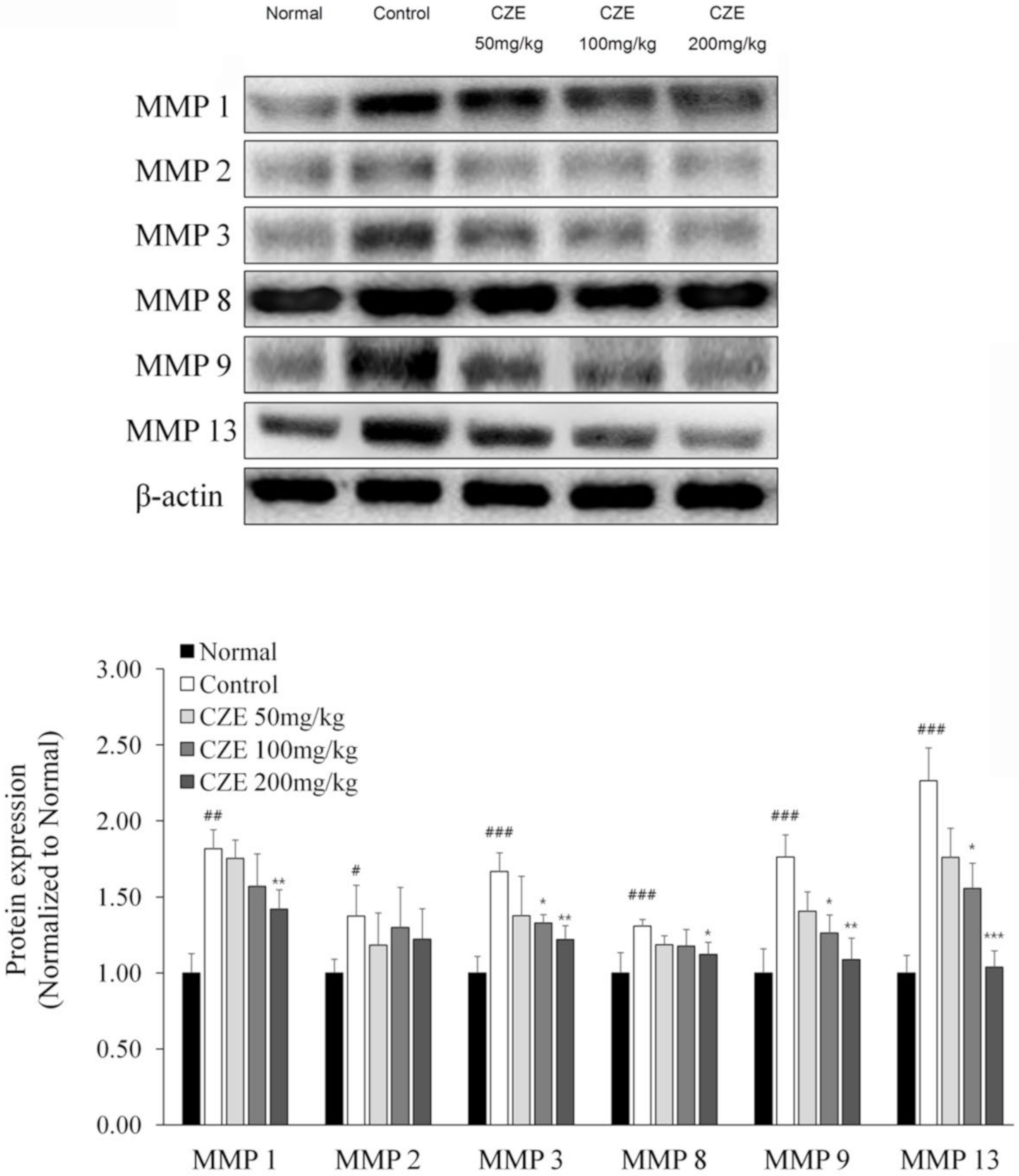 Medicina 56 00685 g004 Medicina 56 00685 g004