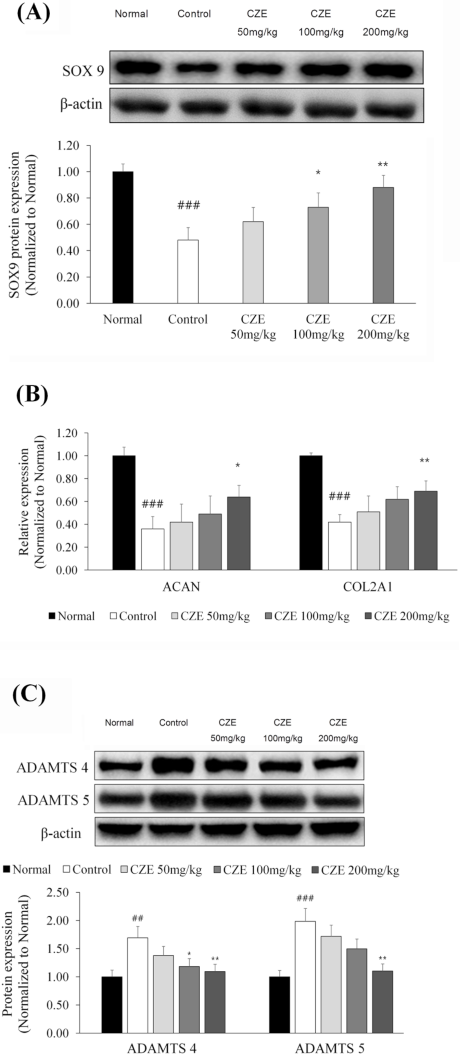 Medicina 56 00685 g005 Medicina 56 00685 g005