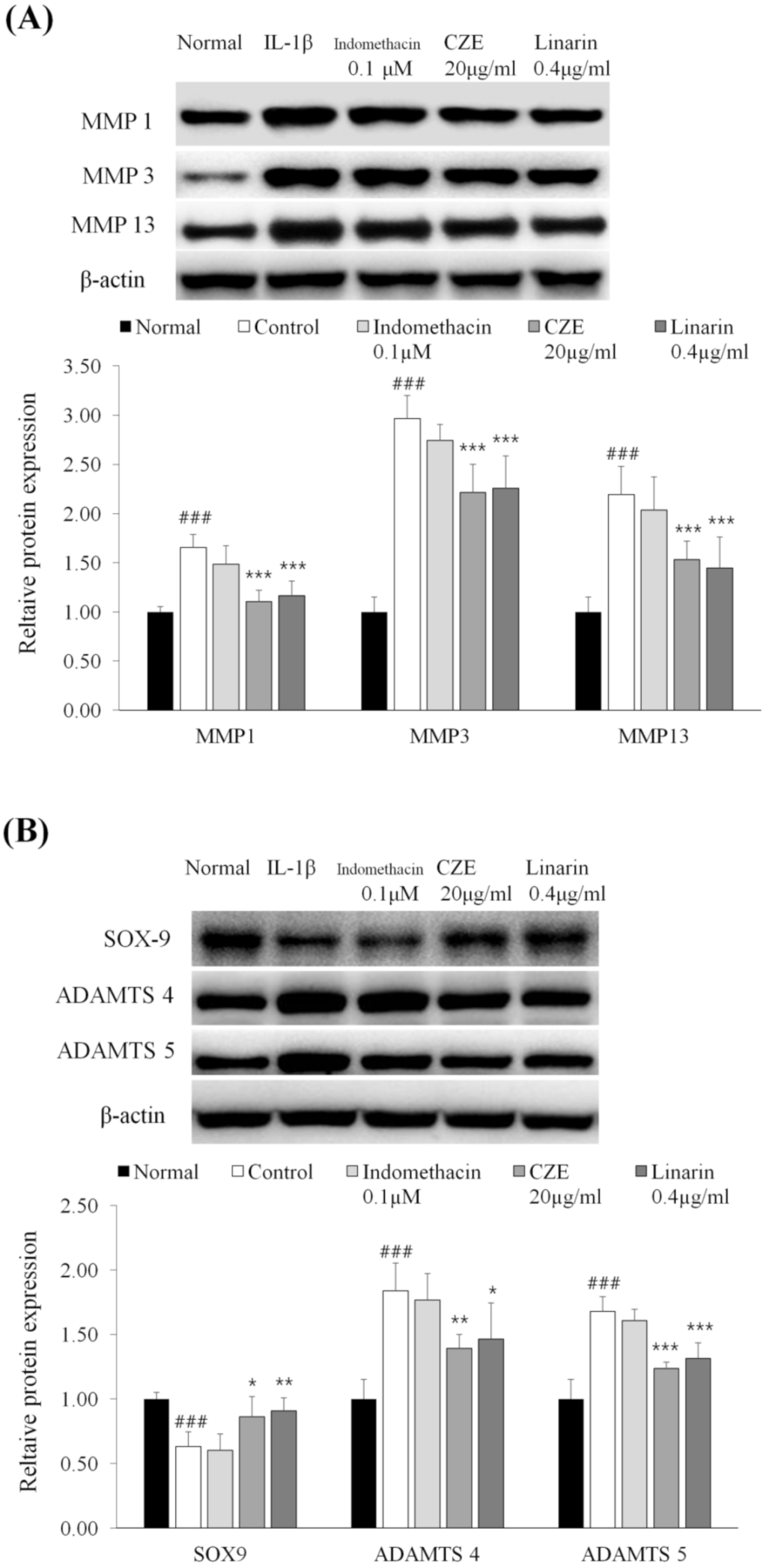 Medicina 56 00685 g007 Medicina 56 00685 g007