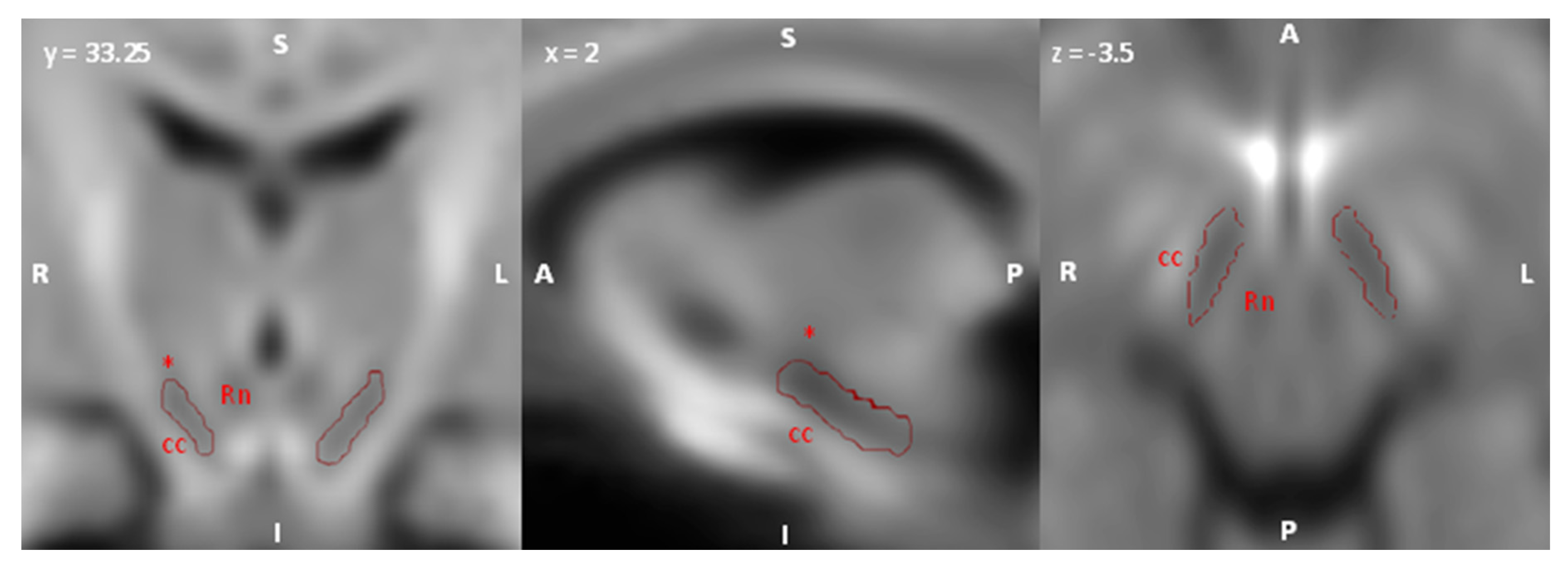 Medicina 56 00686 g001 Medicina 56 00686 g001