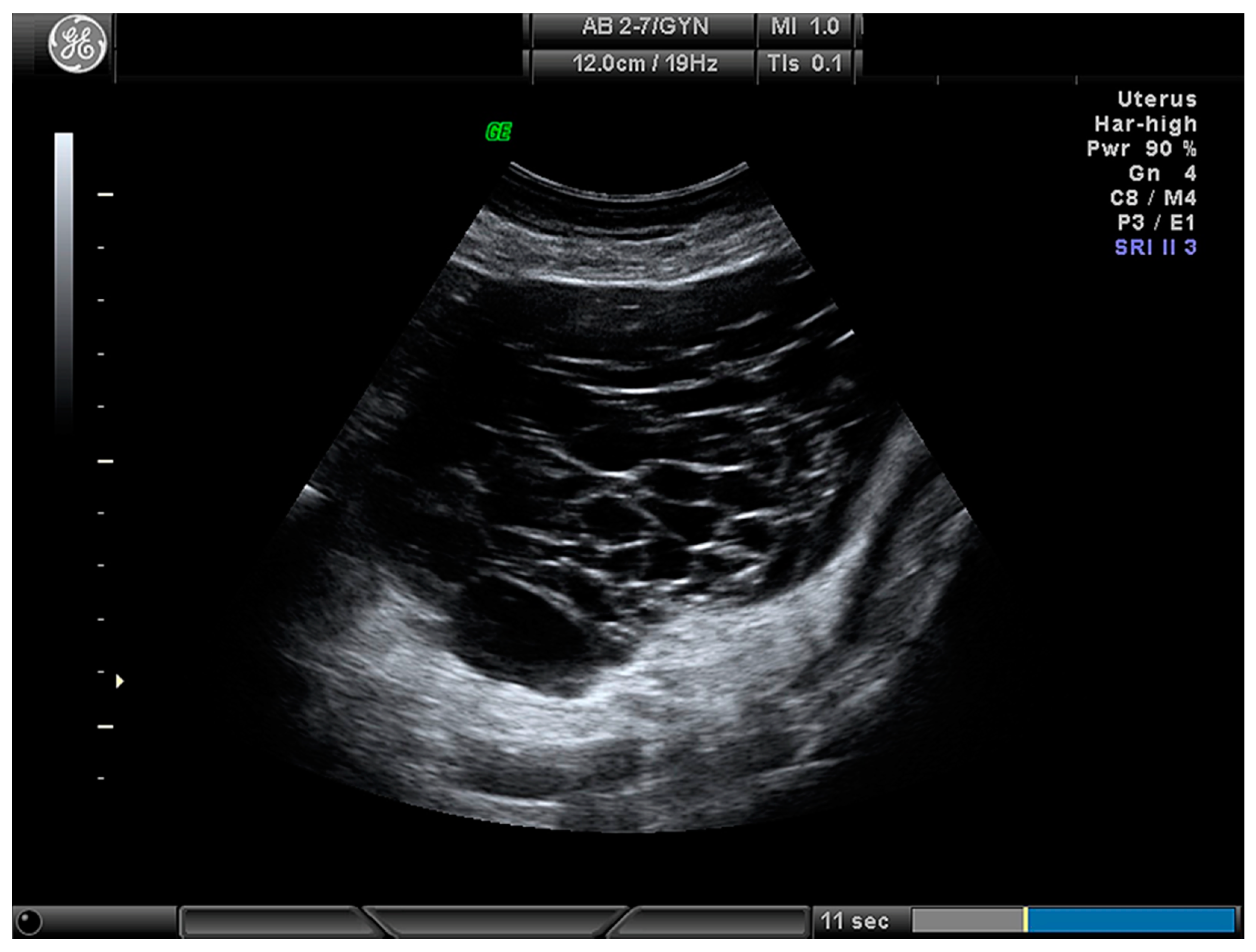 Medicina 56 00690 g001