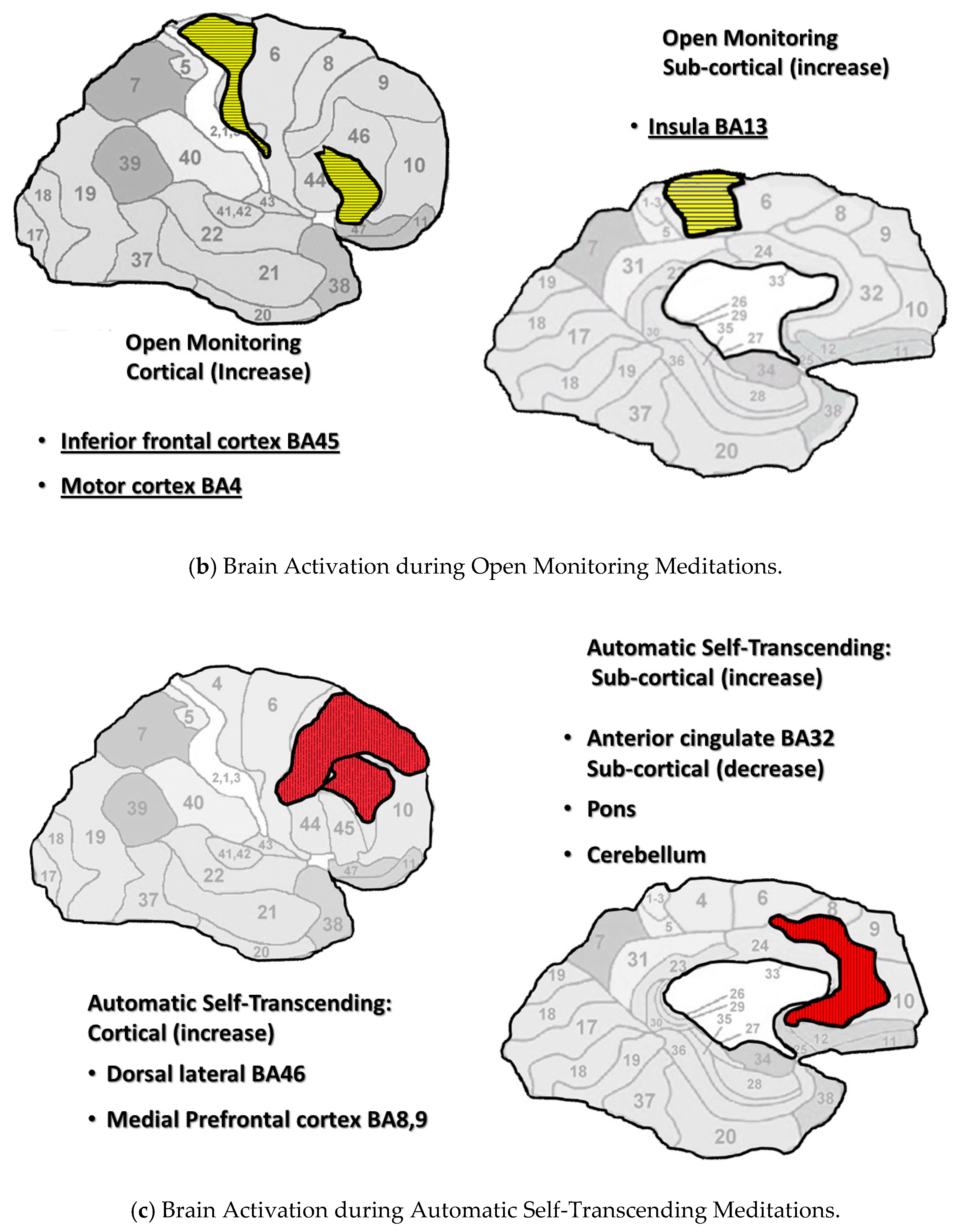Medicina 56 00712 g001b Medicina 56 00712 g001b