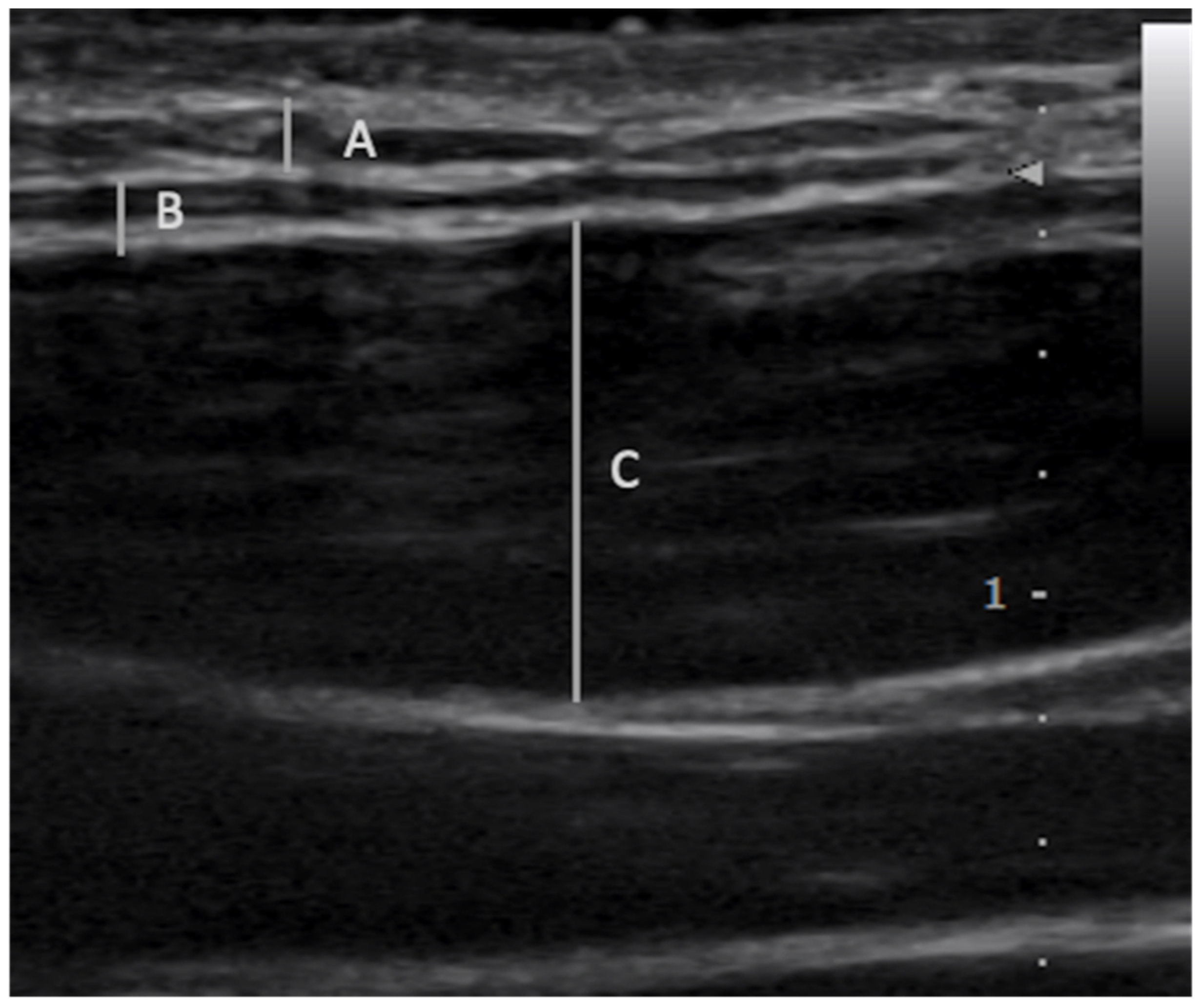 Medicina 56 00717 g001