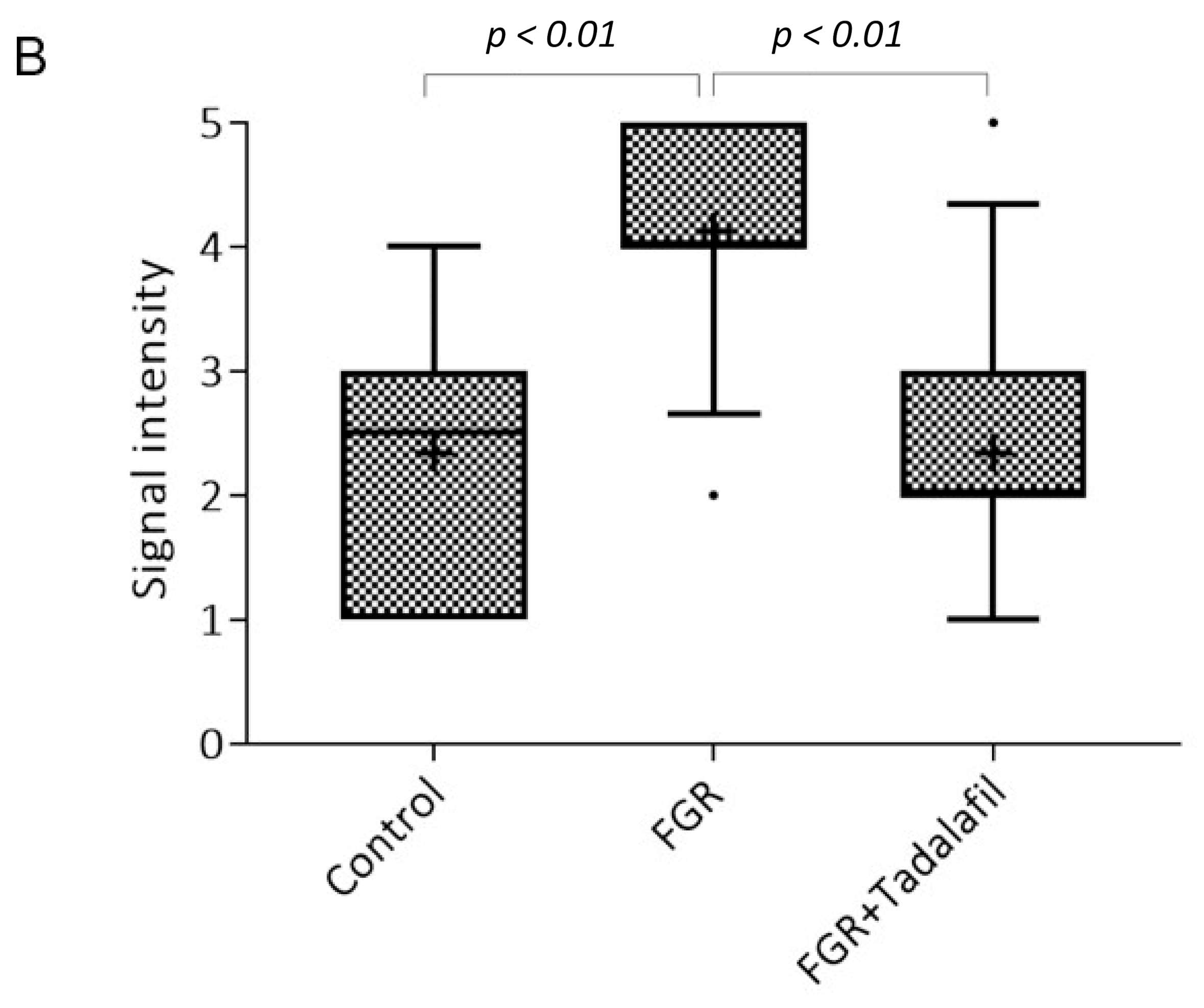 Medicina 56 00722 g001b