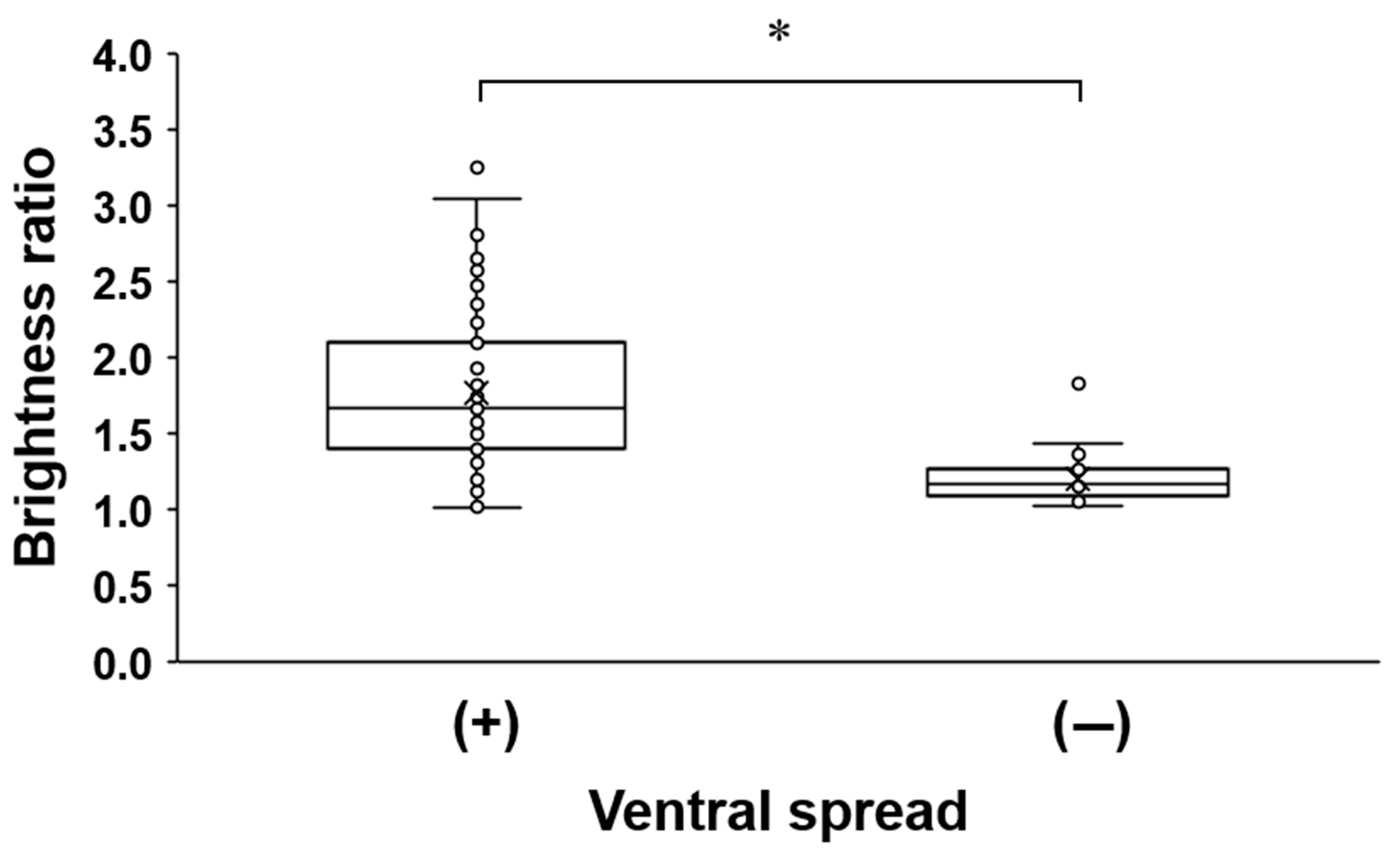 Medicina 57 00008 g004 Medicina 57 00008 g004