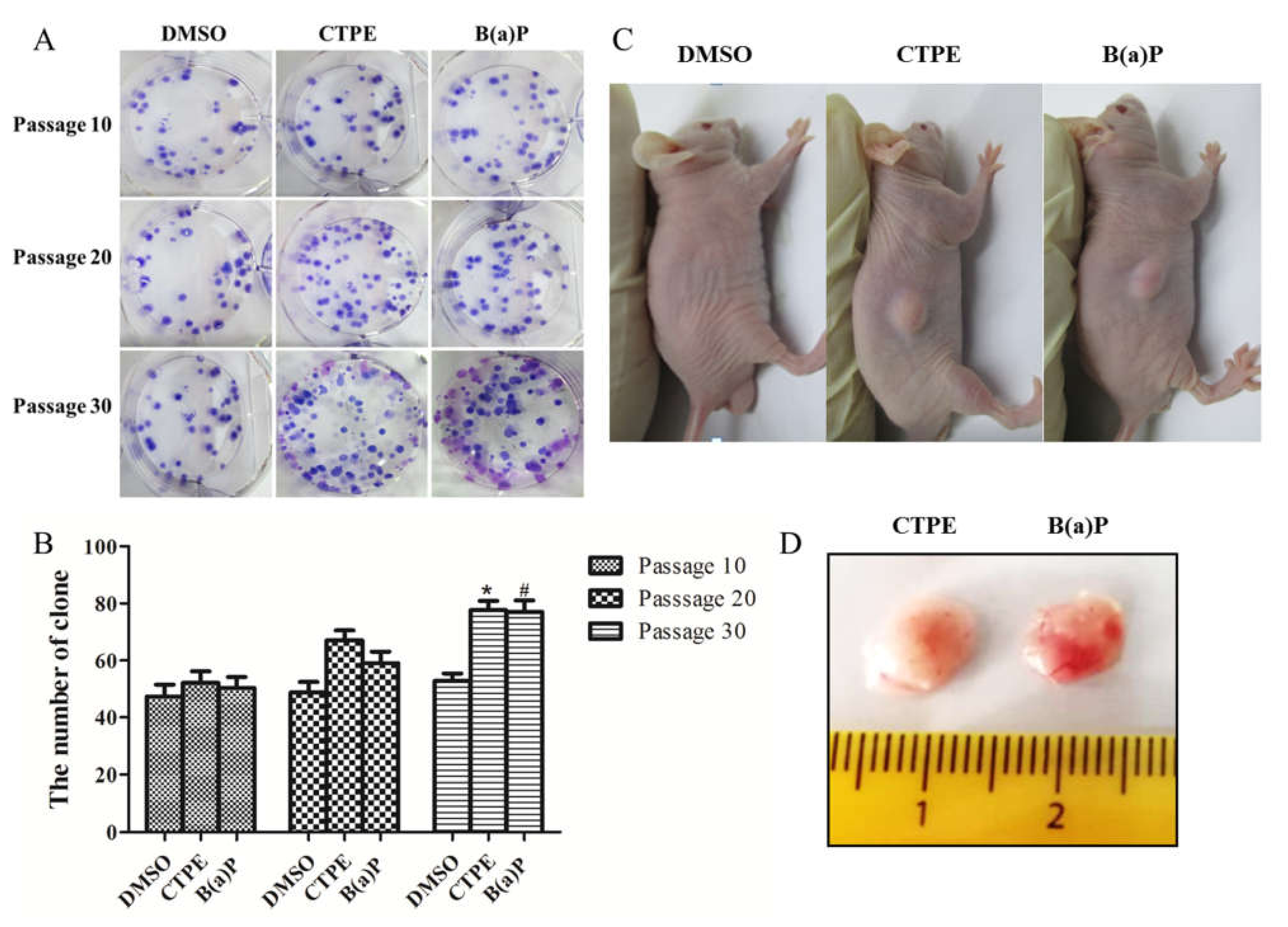 Medicina 57 00024 g001 Medicina 57 00024 g001