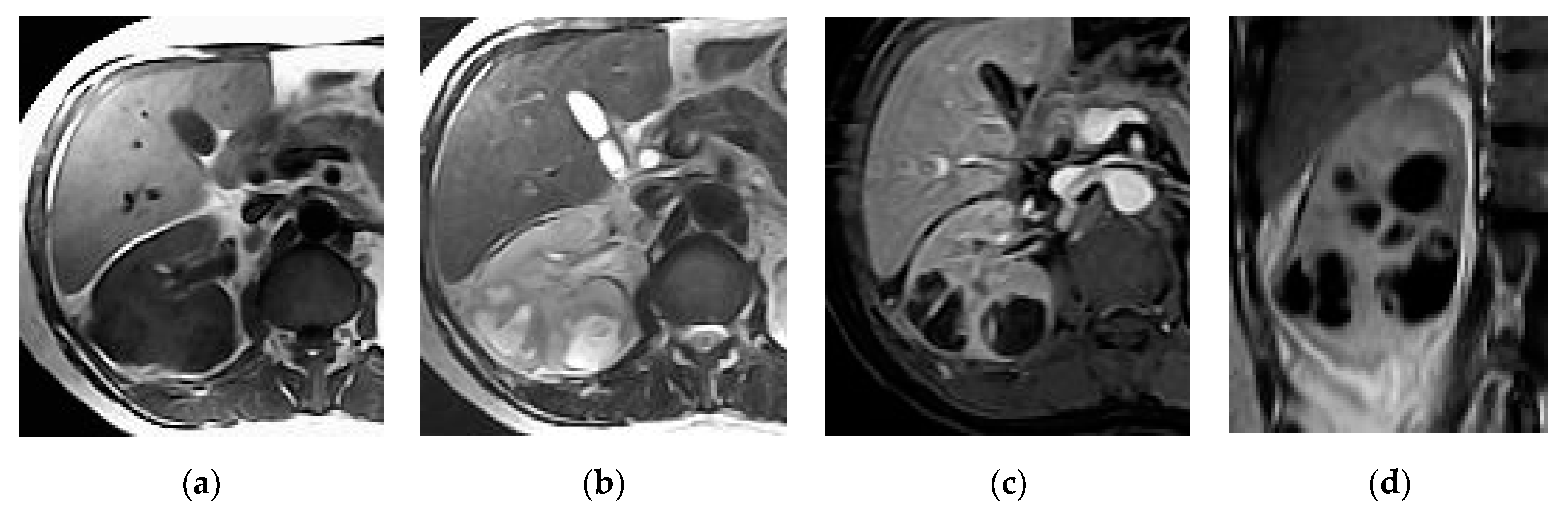 Medicina 57 00032 g008 Medicina 57 00032 g008