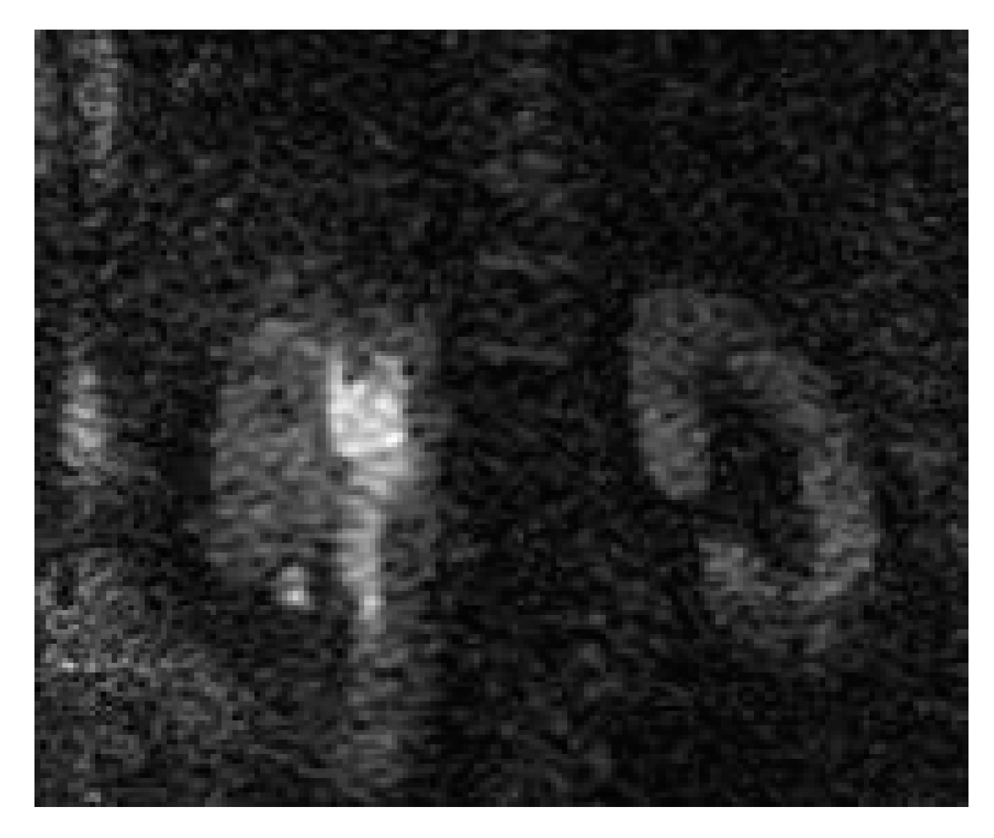 Medicina 57 00032 g009 Medicina 57 00032 g009