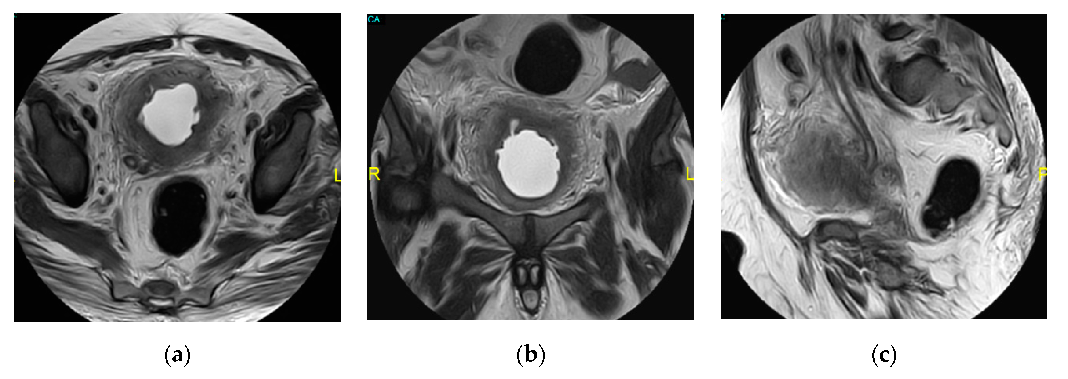 Medicina 57 00032 g021 Medicina 57 00032 g021