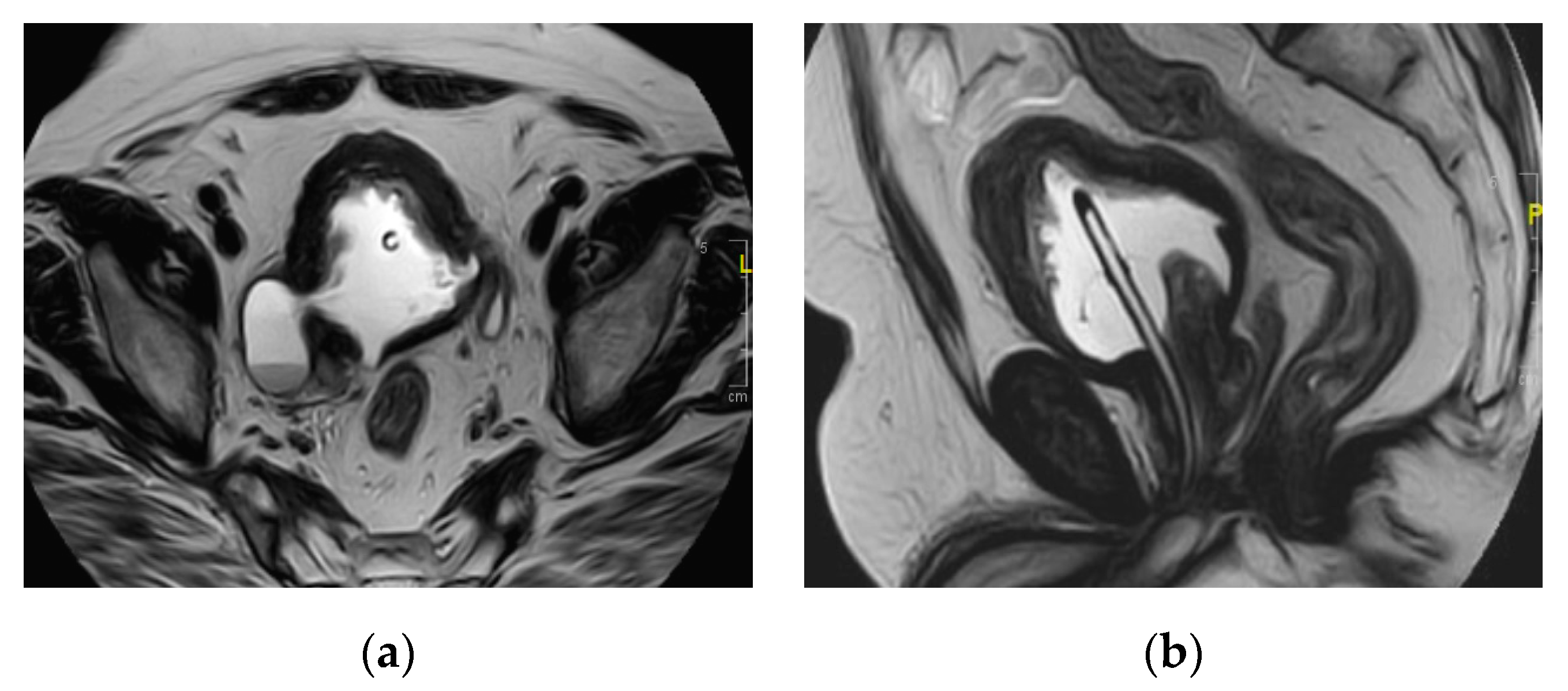 Medicina 57 00032 g022 Medicina 57 00032 g022