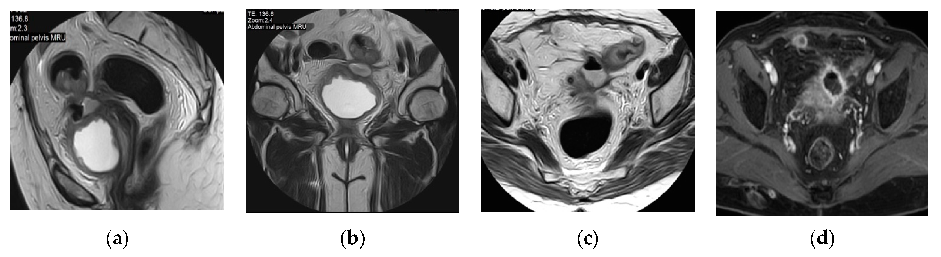 Medicina 57 00032 g024 Medicina 57 00032 g024
