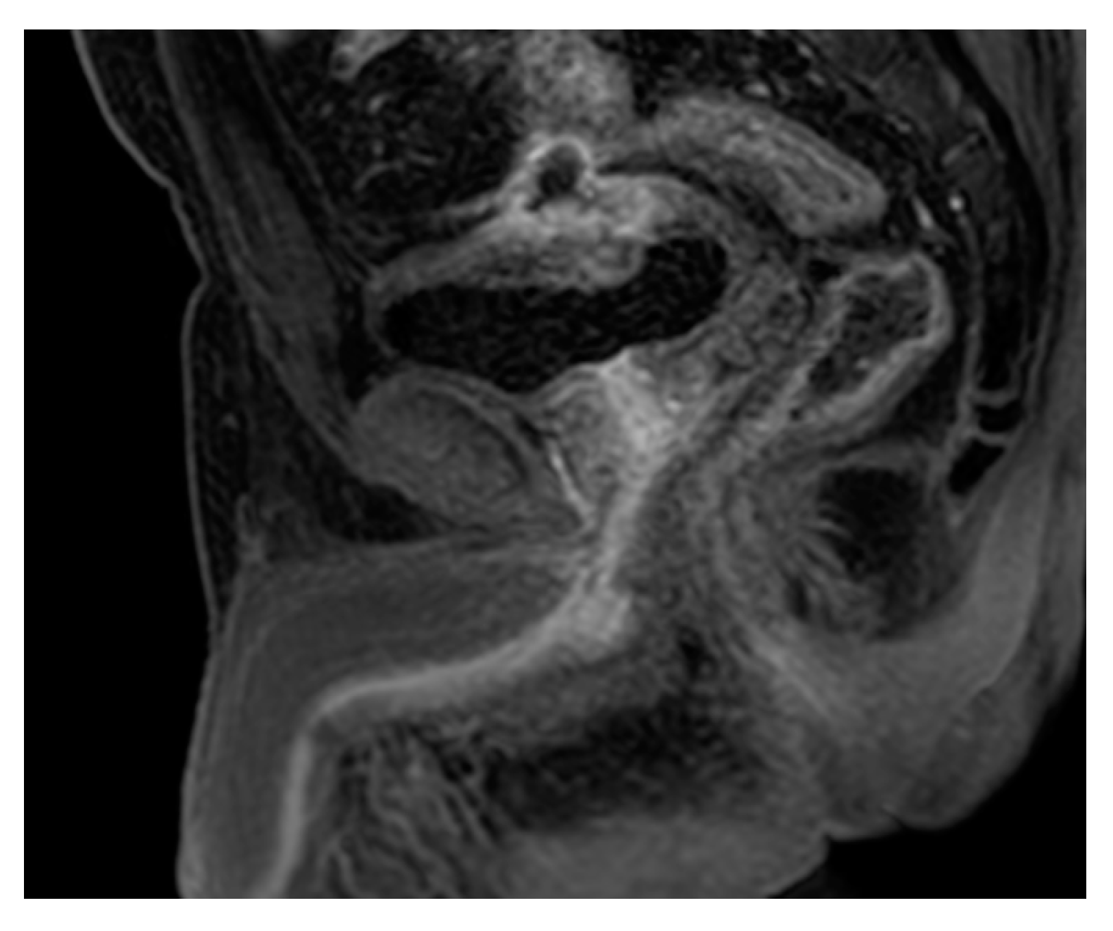 Medicina 57 00032 g028 Medicina 57 00032 g028