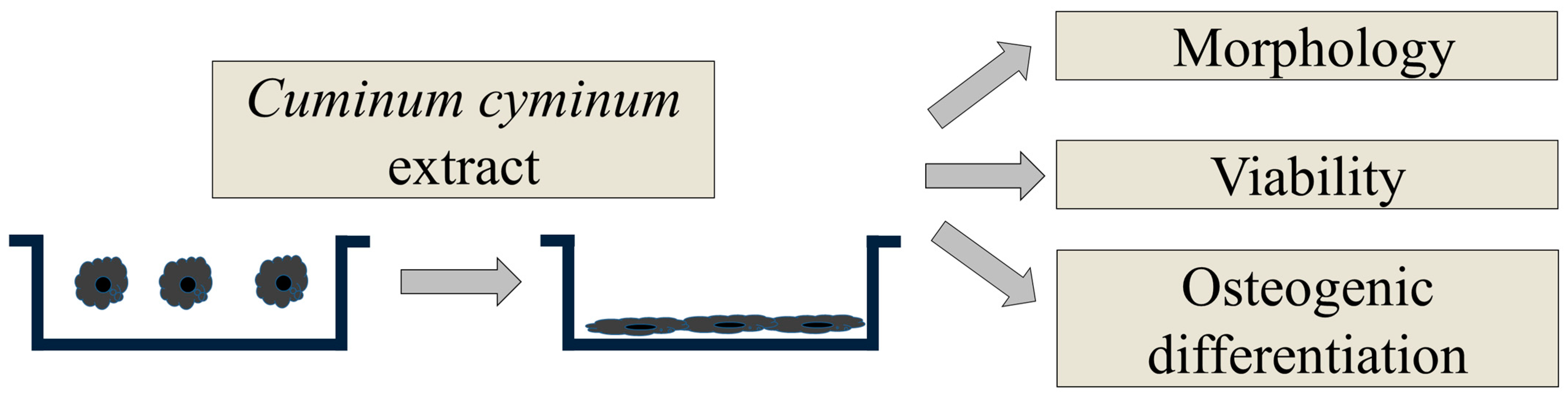 Medicina 57 00038 g001