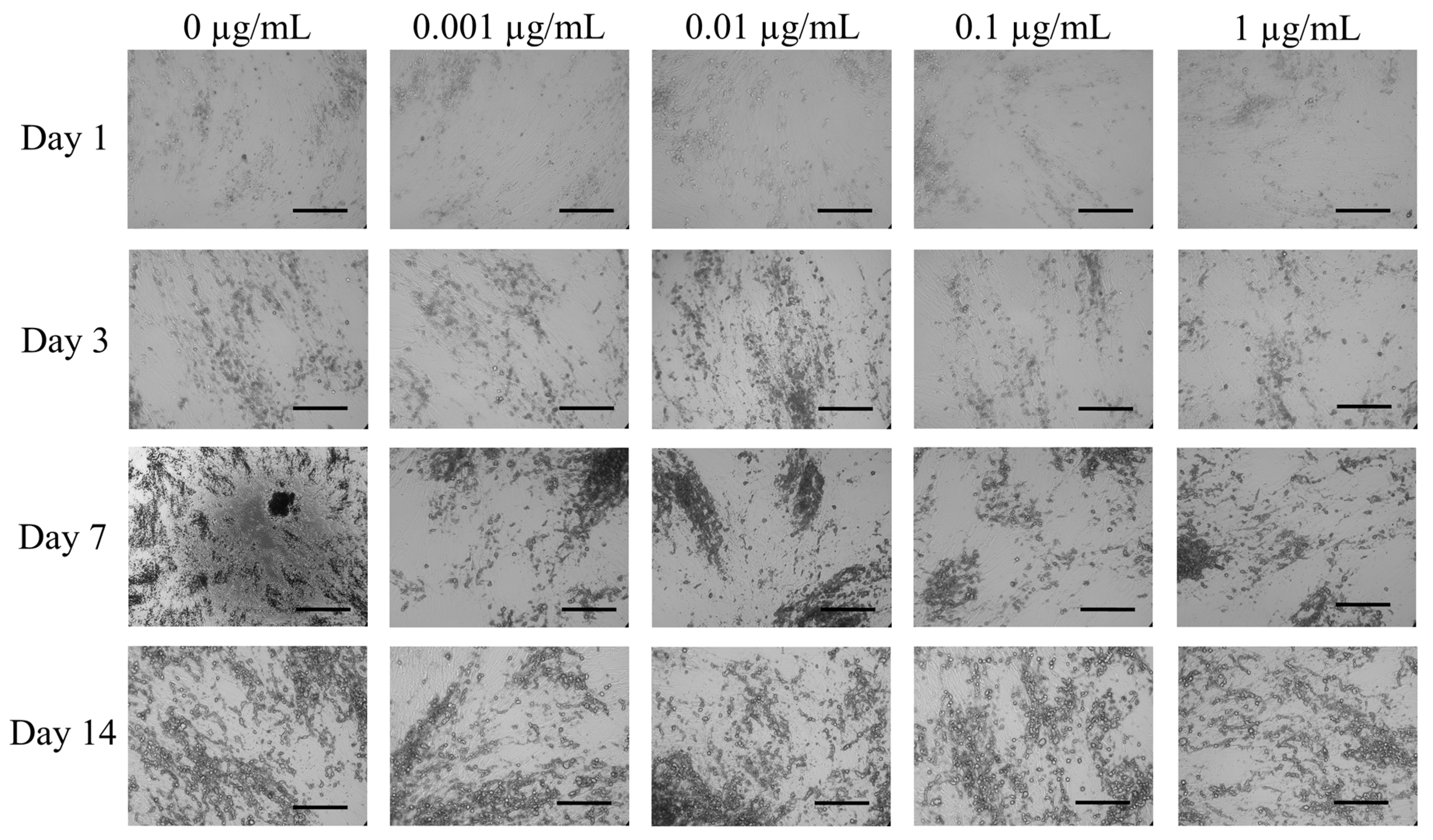 Medicina 57 00038 g002