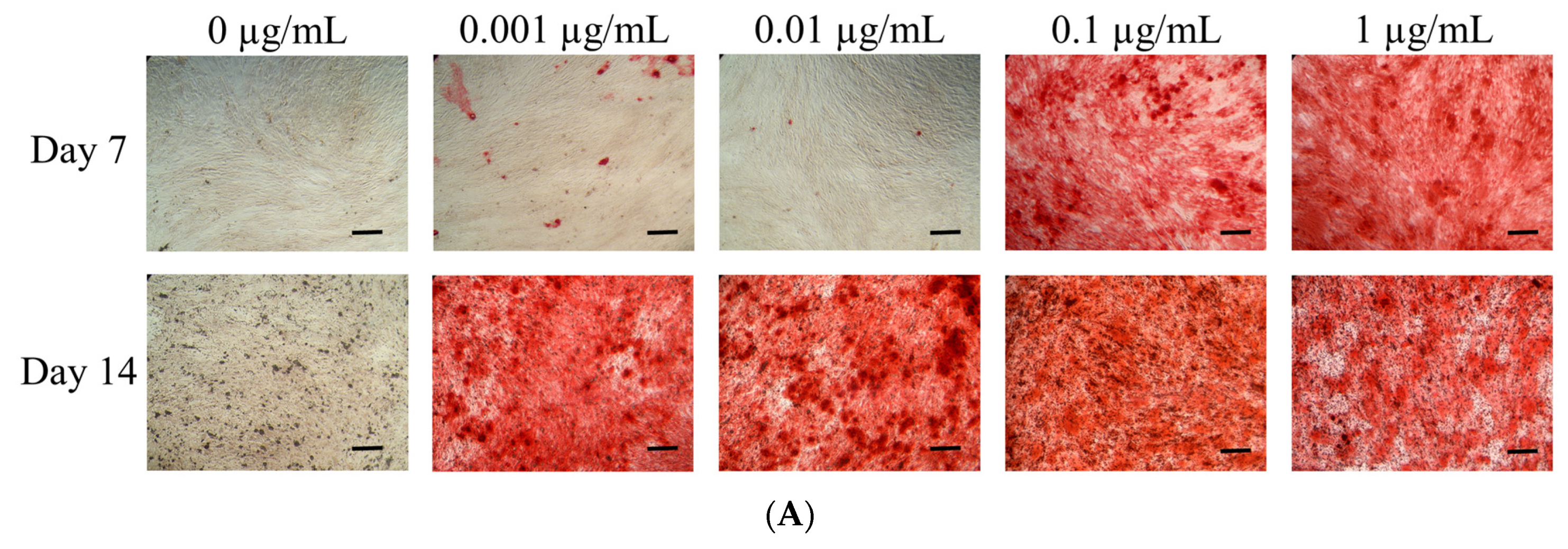 Medicina 57 00038 g005a
