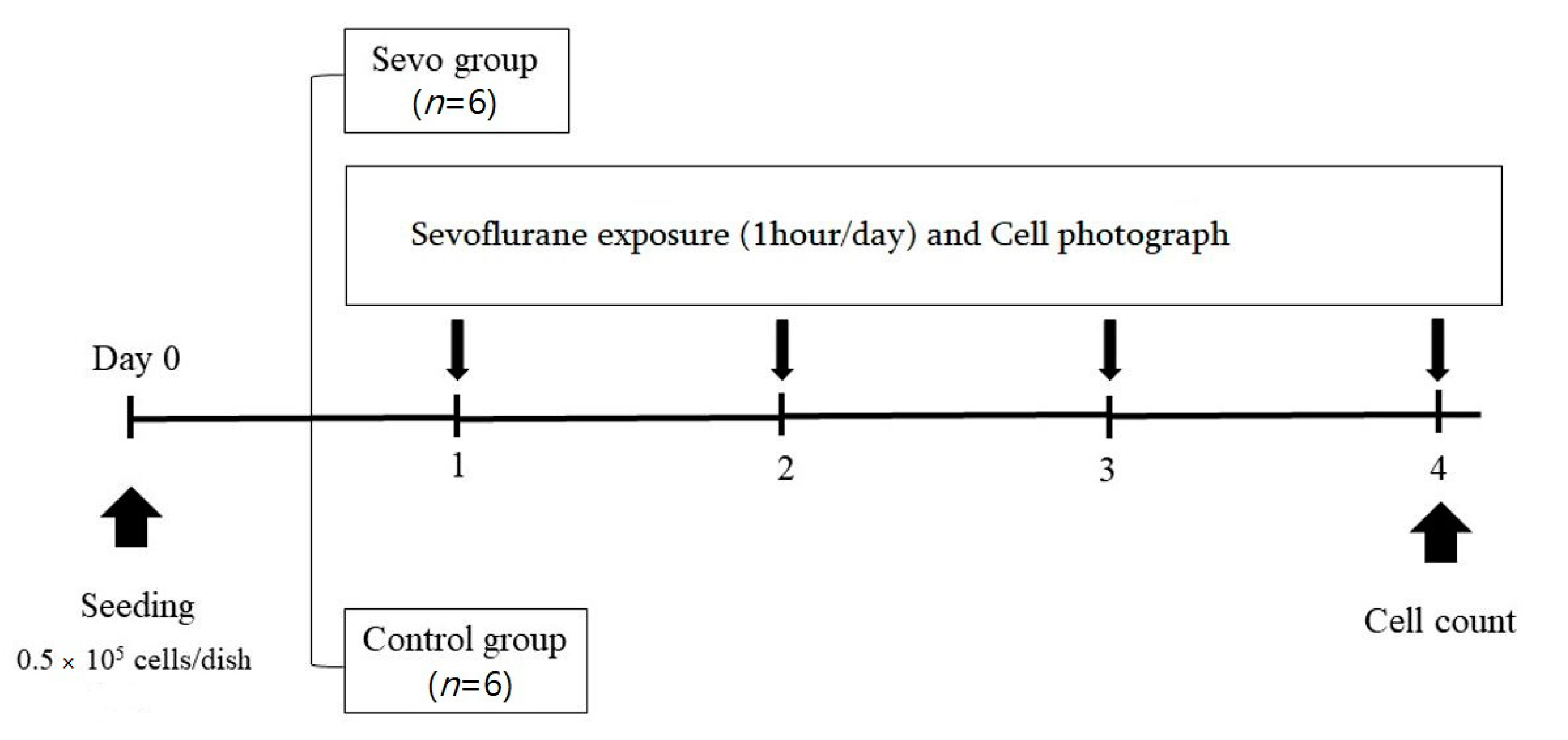 Medicina 57 00045 g002