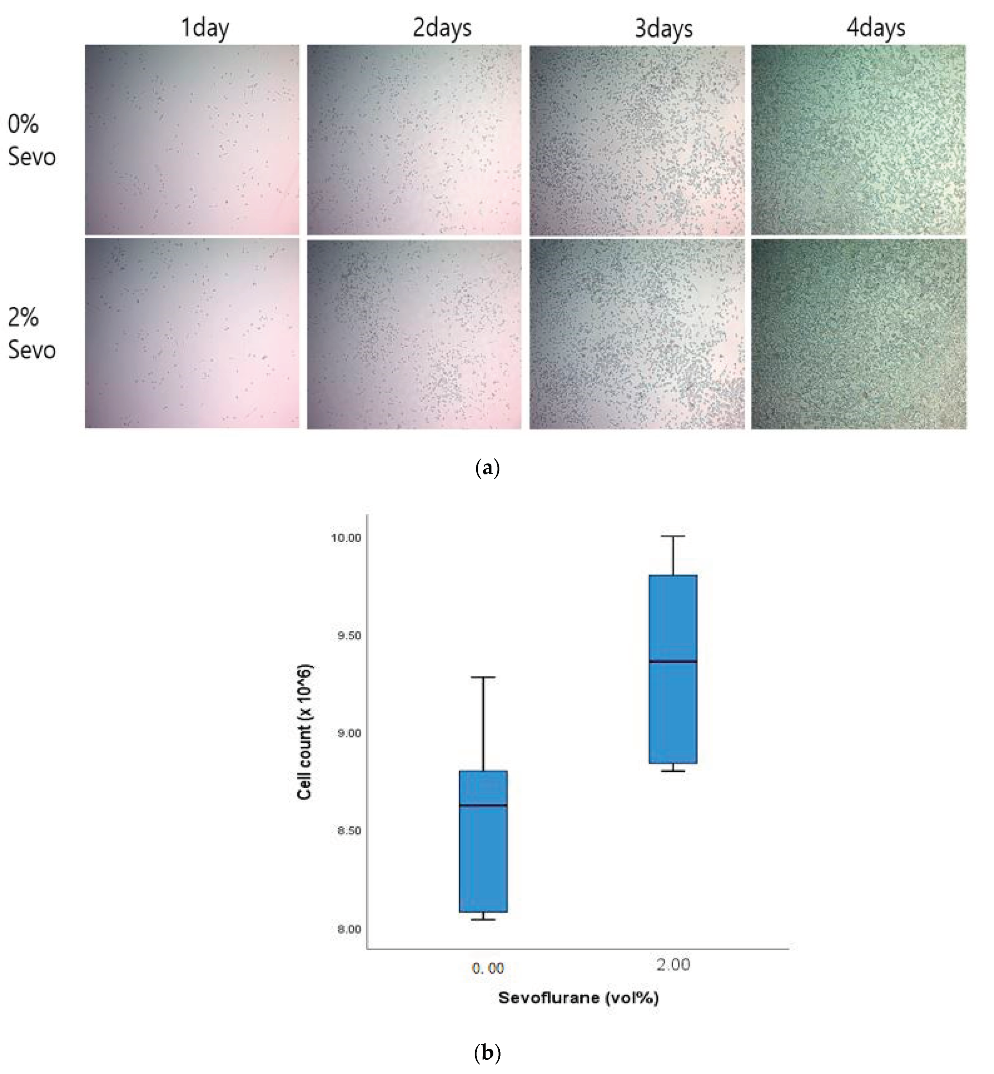 Medicina 57 00045 g004