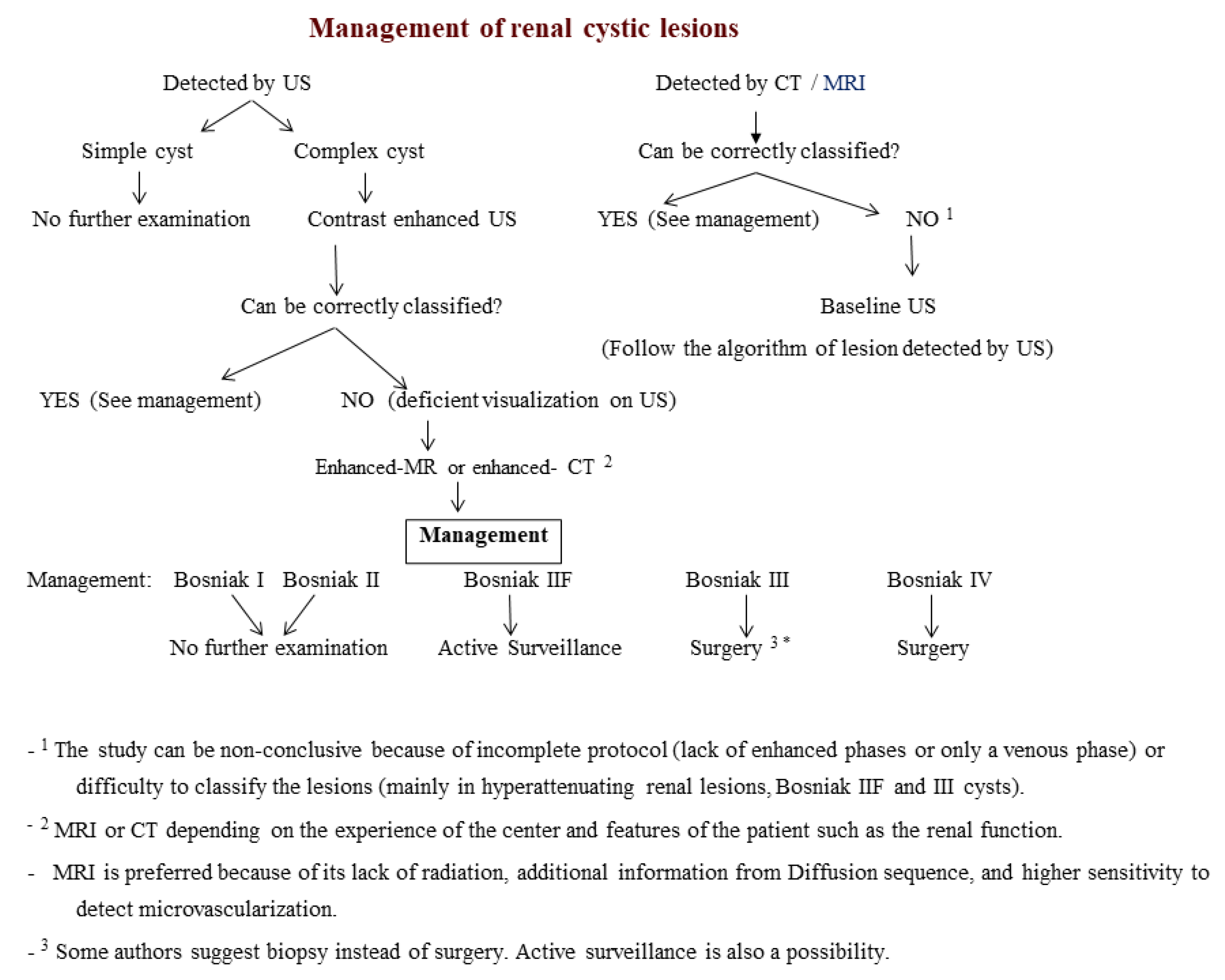 Classification Of Renal Cysts