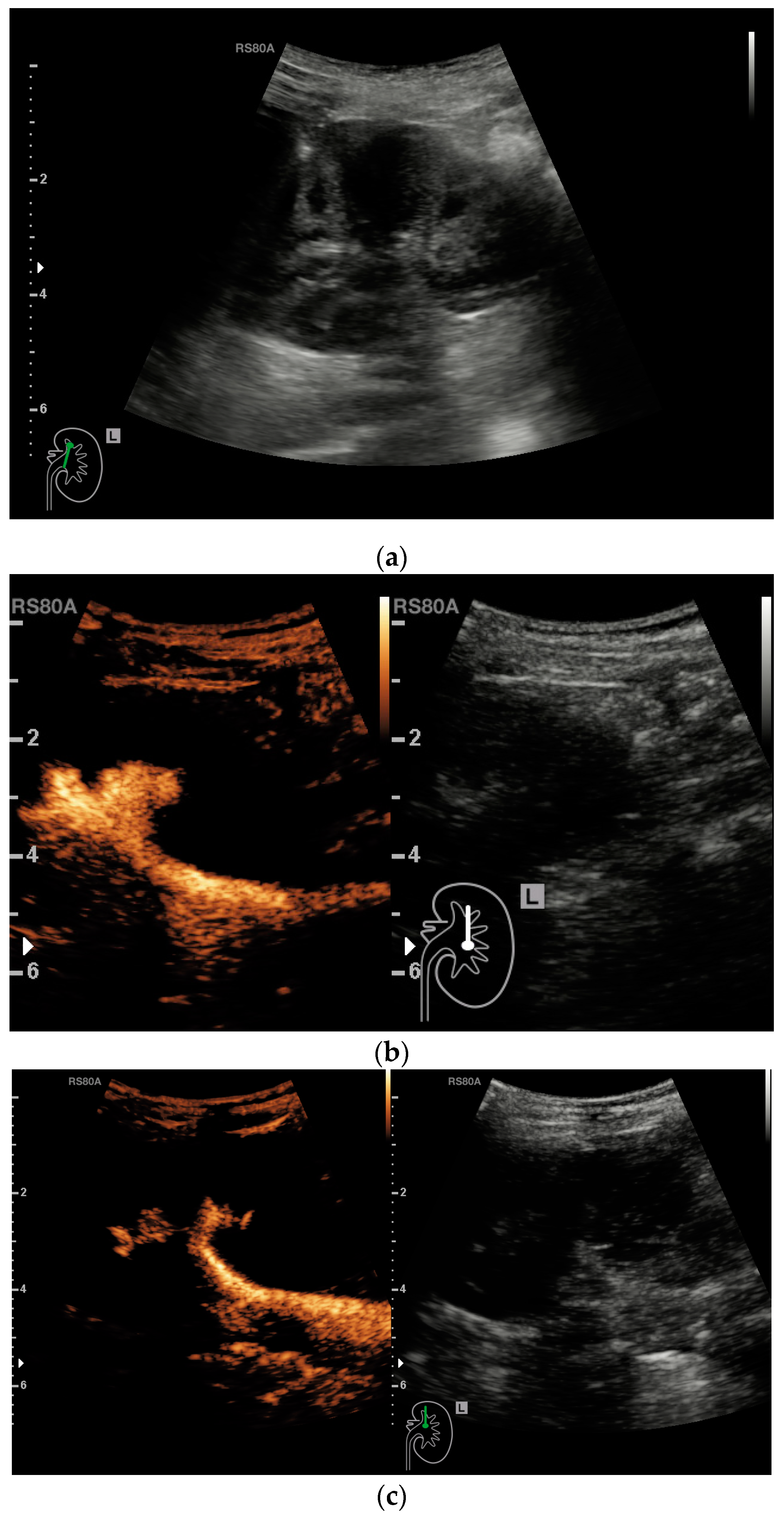 Medicina 57 00056 g001