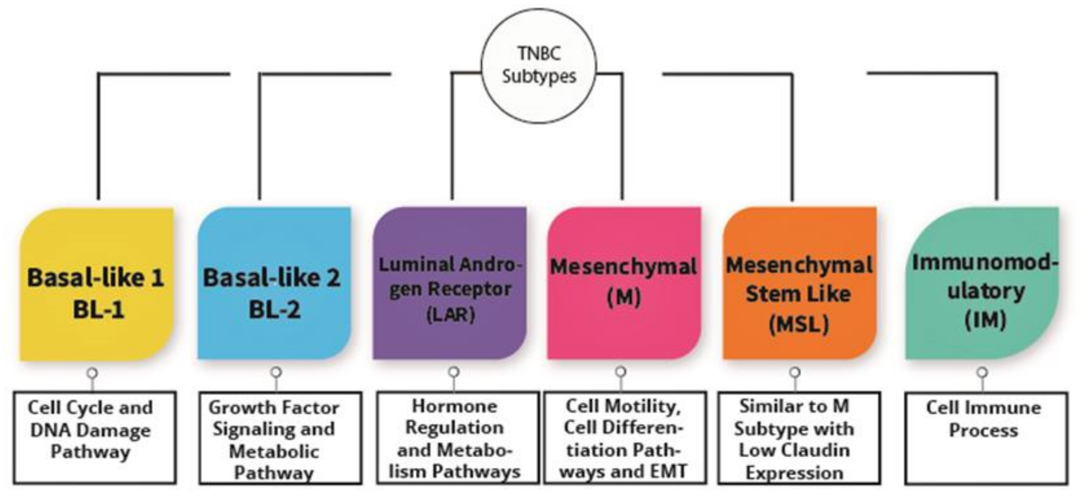 write a term paper on triple negative breast cancer