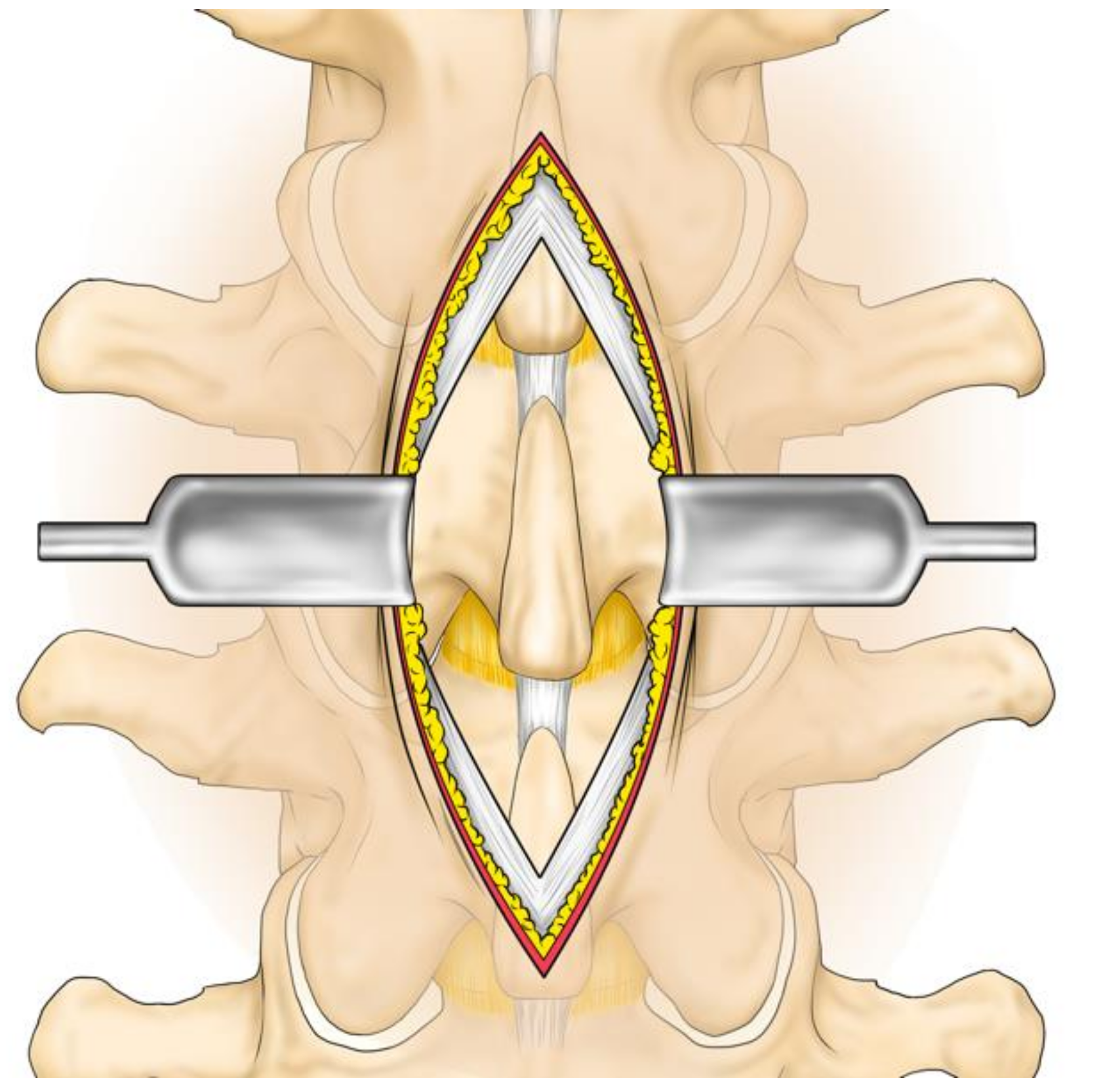 Medicina 57 00087 g002