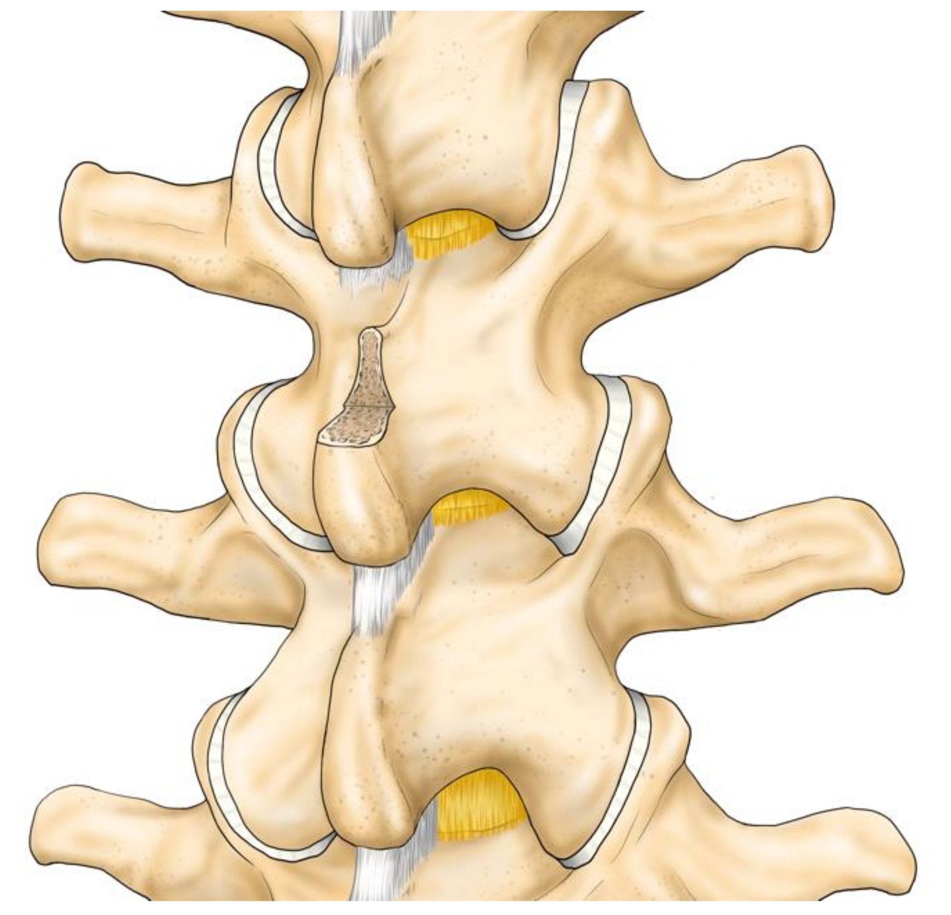 Medicina 57 00087 g004