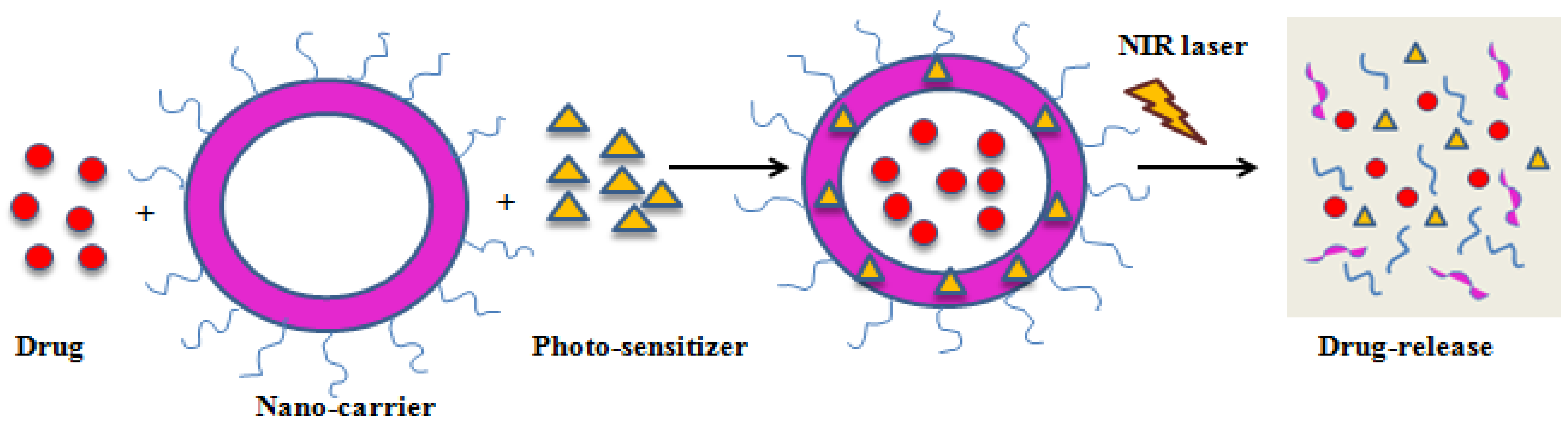 Medicina 57 00091 g003