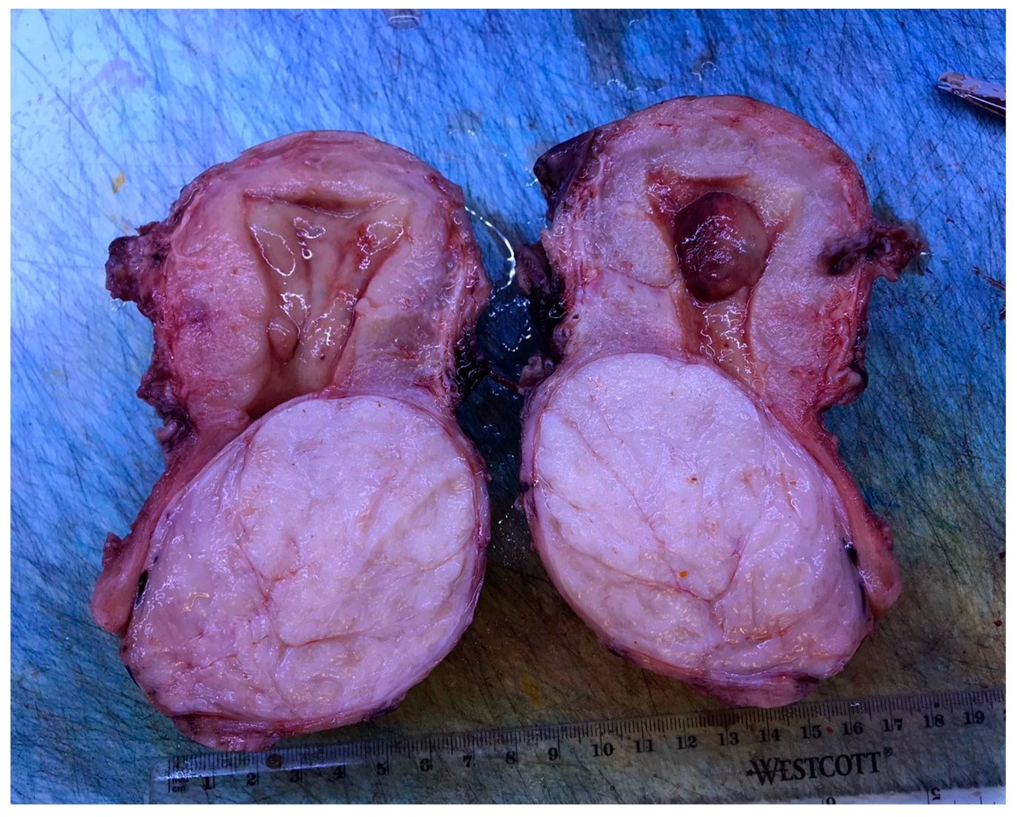 Medicina 57 00092 g003