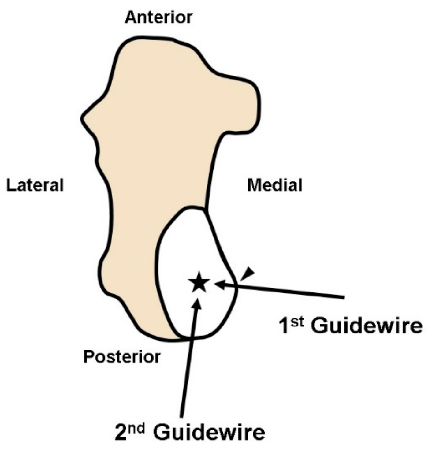 Medicina 57 00111 g005