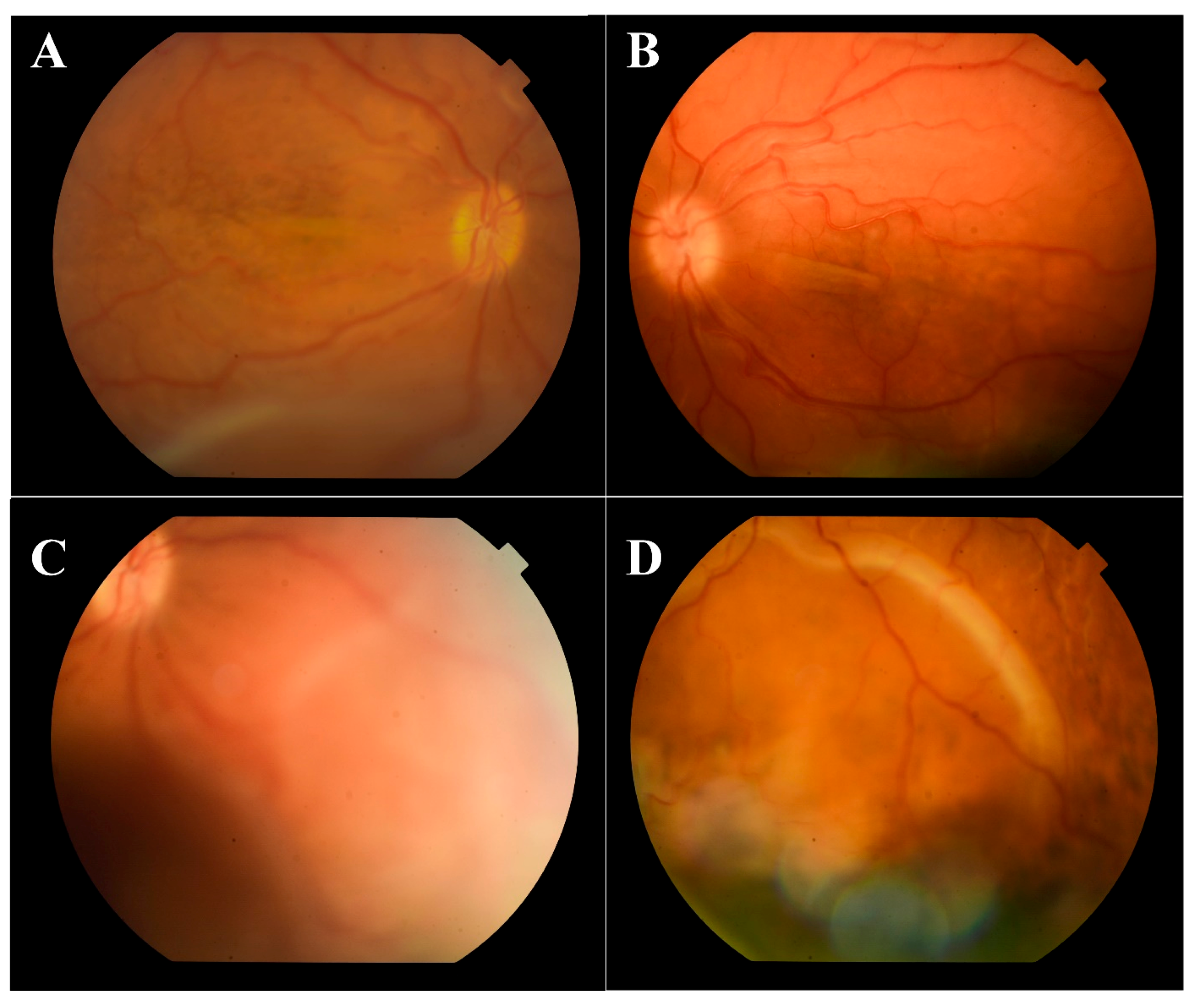 Medicina 57 00120 g001