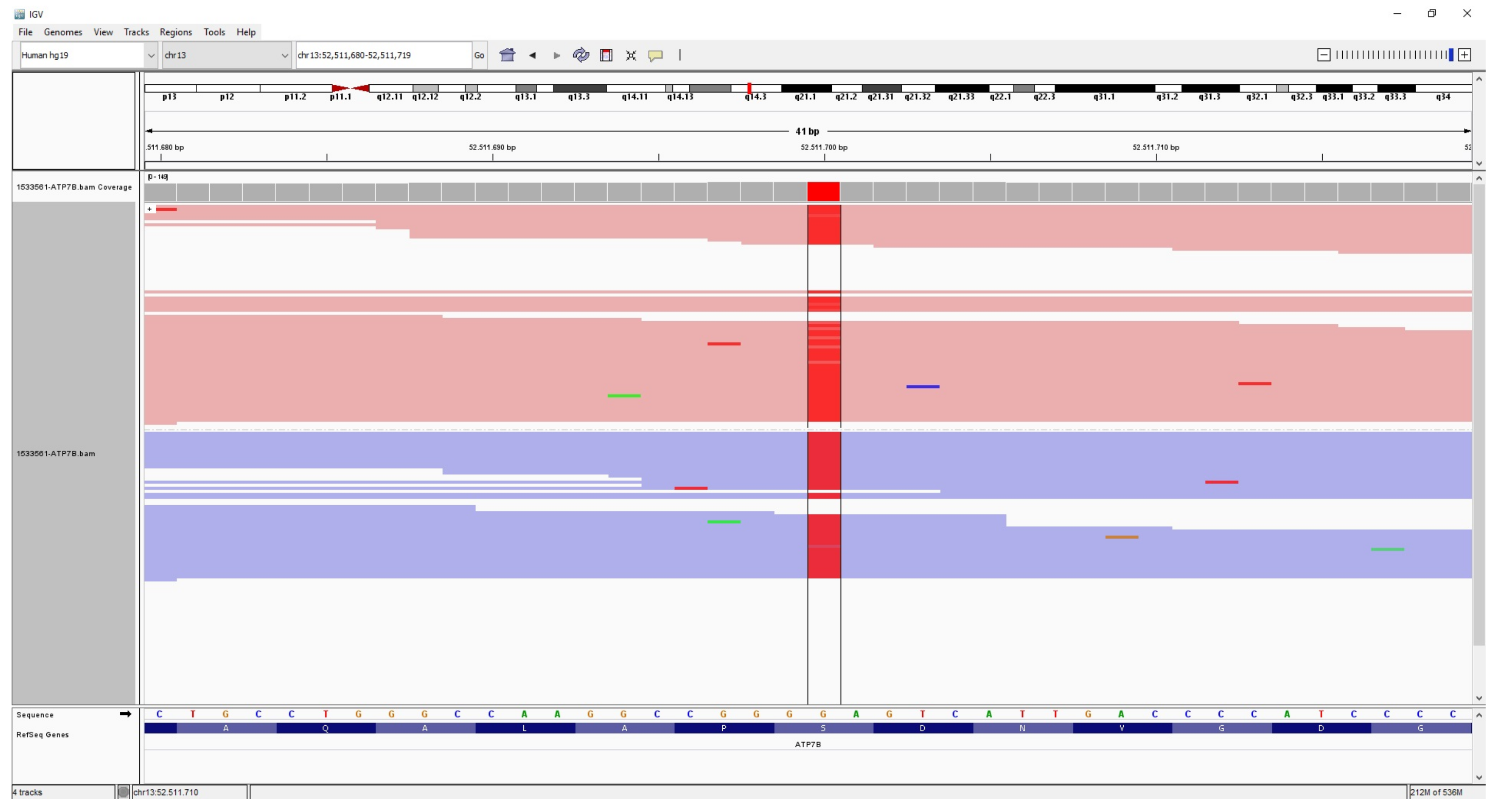 Medicina 57 00123 g001 Medicina 57 00123 g001