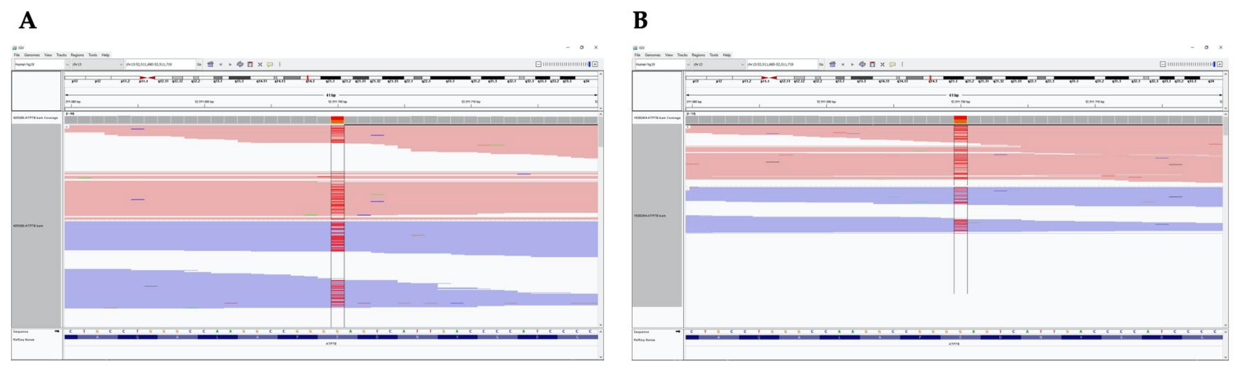 Medicina 57 00123 g002 Medicina 57 00123 g002
