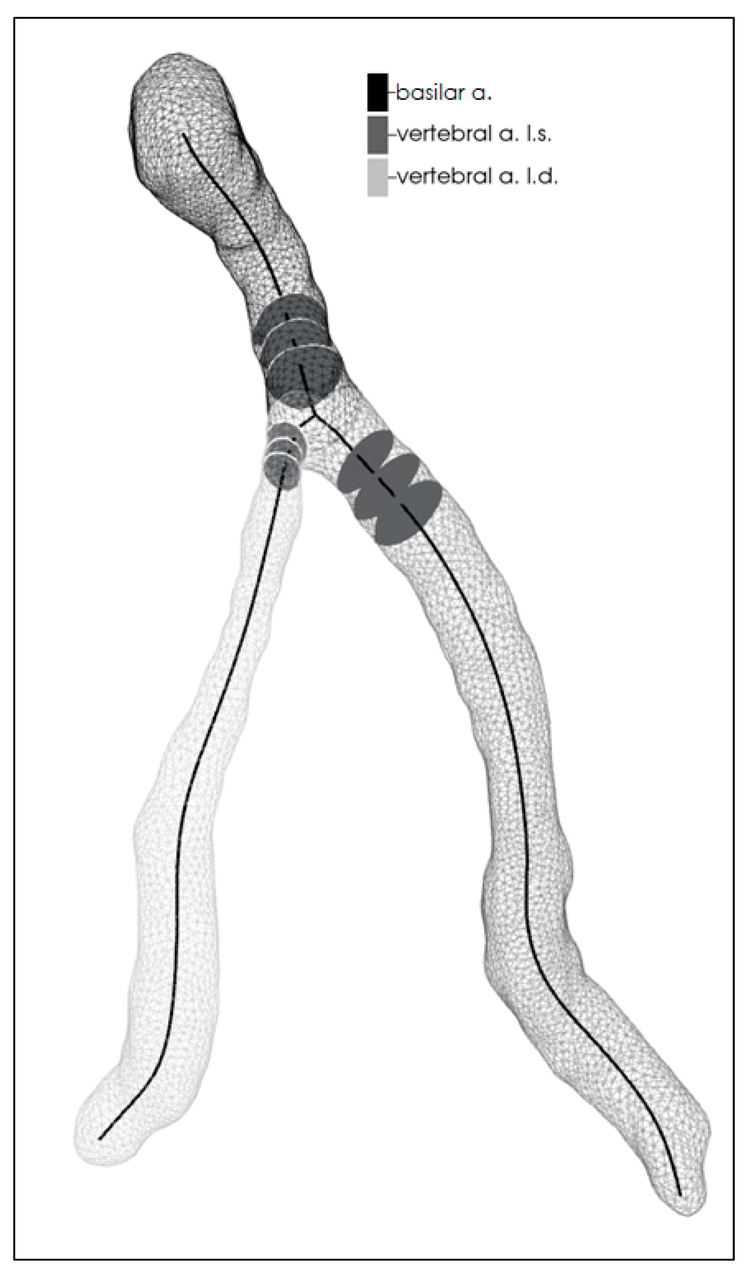 Medicina 57 00127 g002