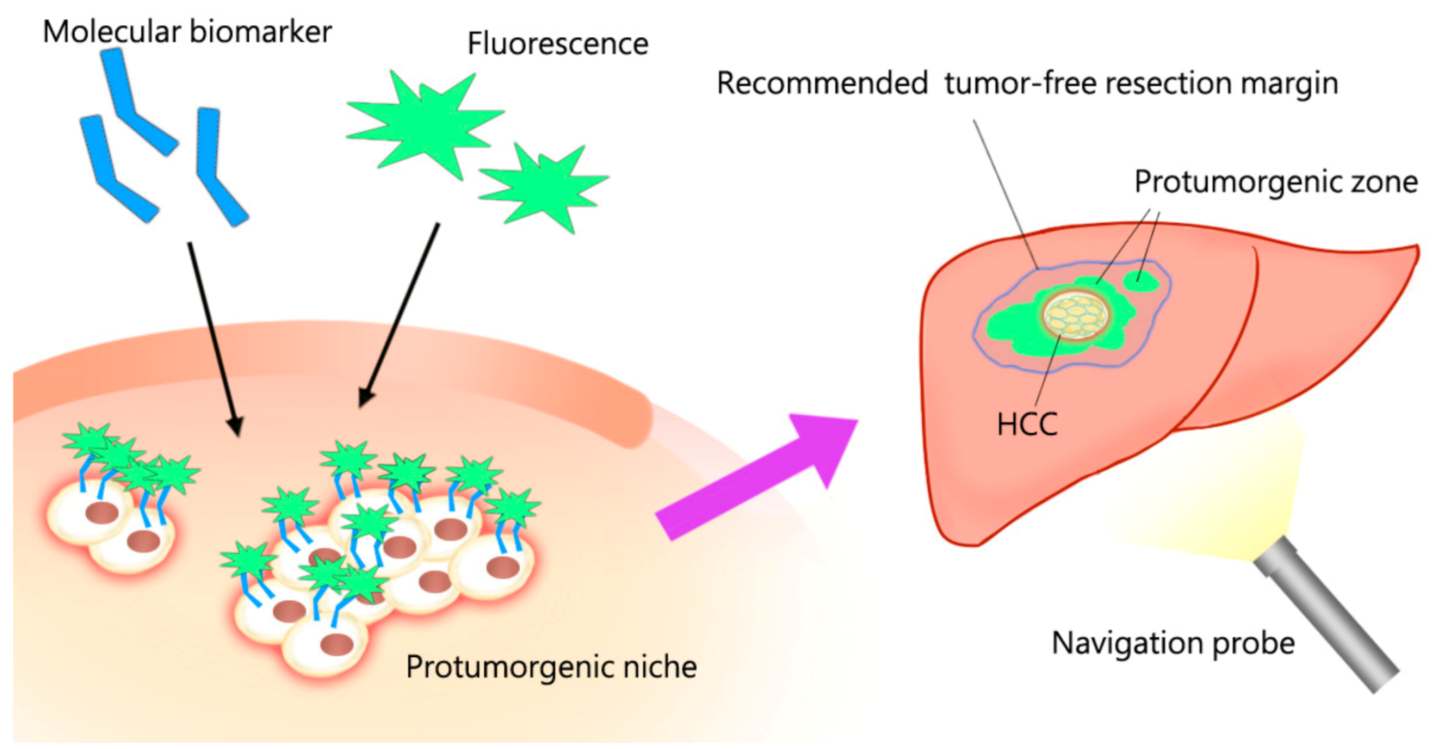 Medicina 57 00131 g004