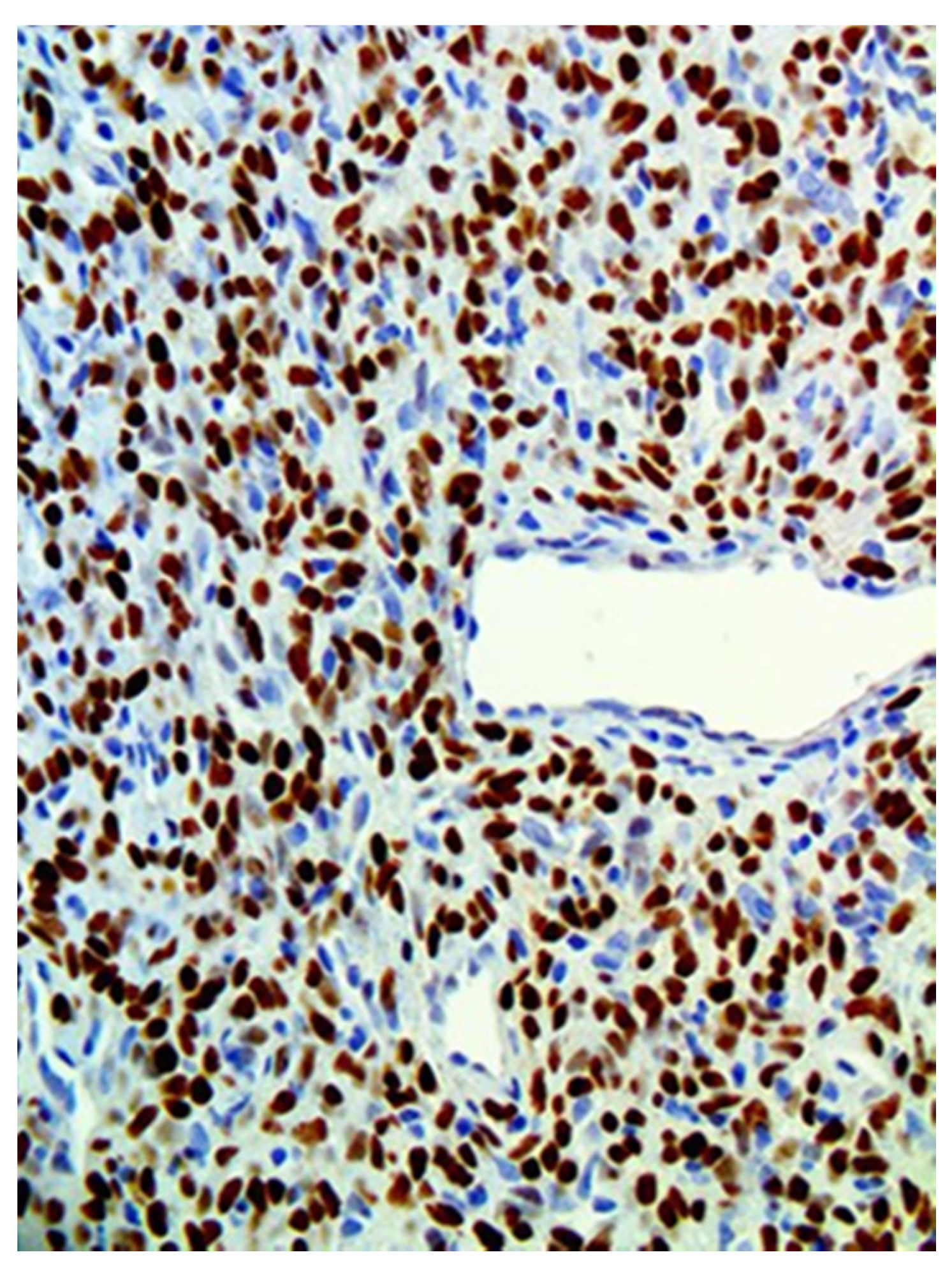 Medicina 57 00152 g007