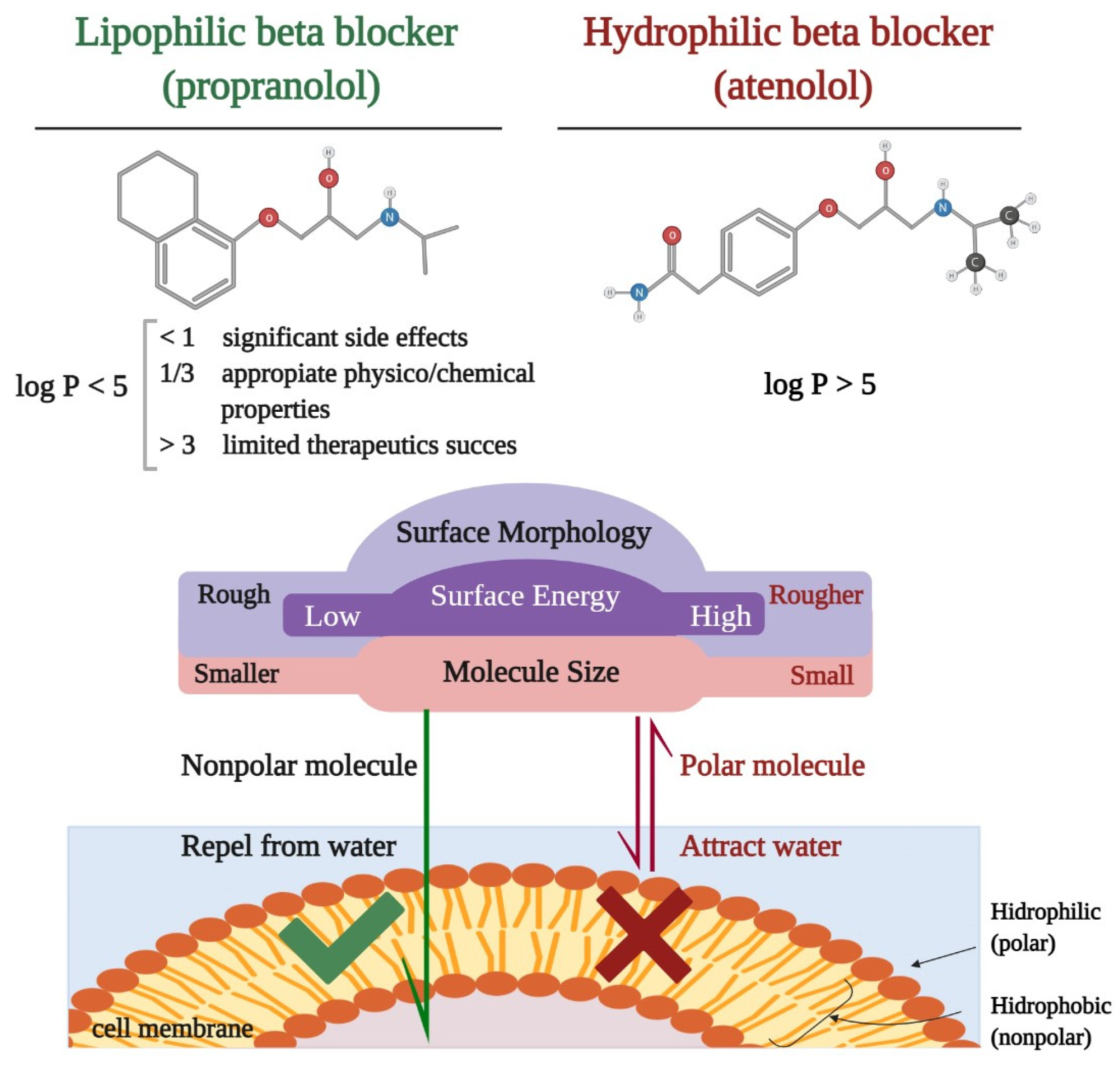 Labetalol - An alpha and beta blocker for hypertension 