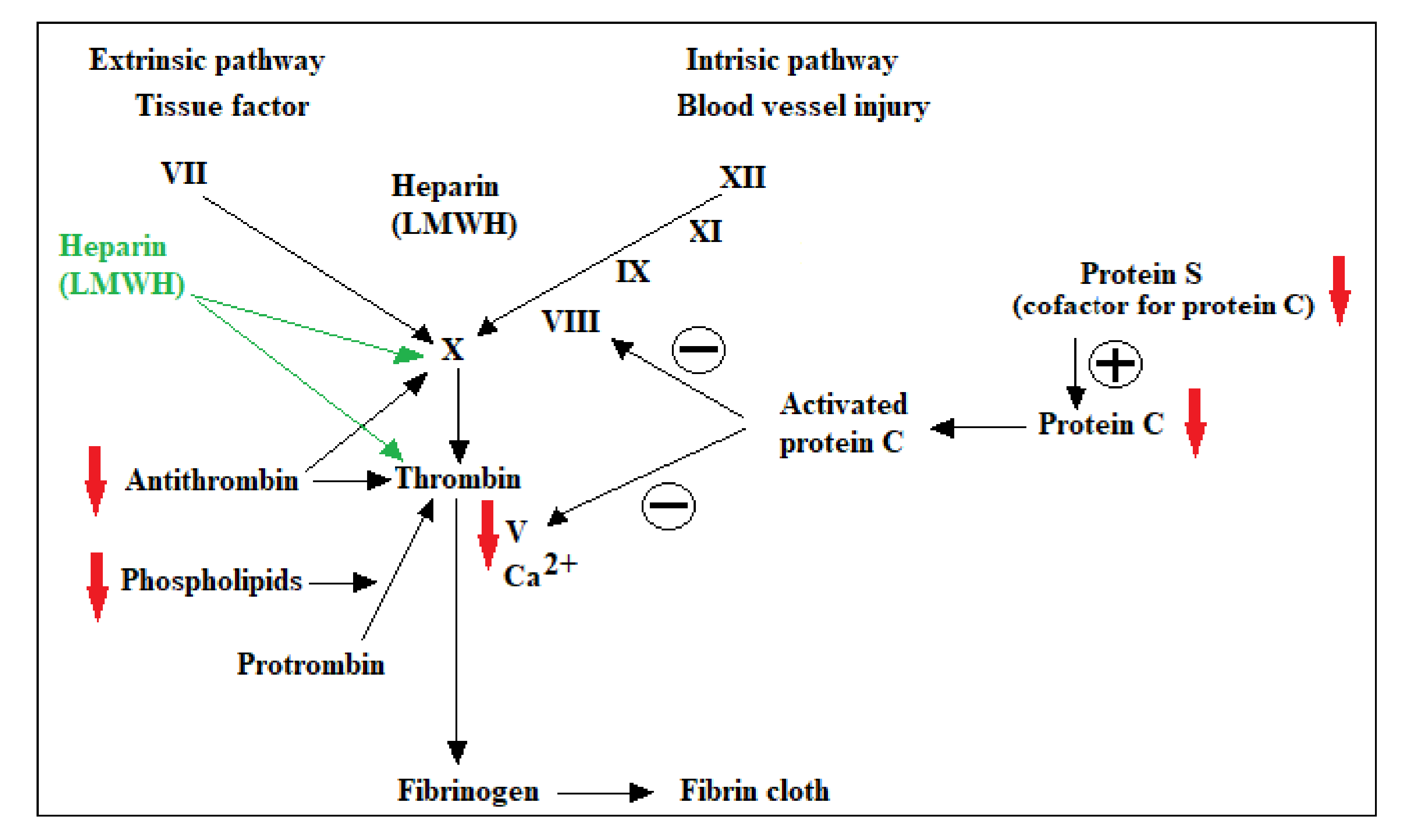 Medicina 57 00160 g001