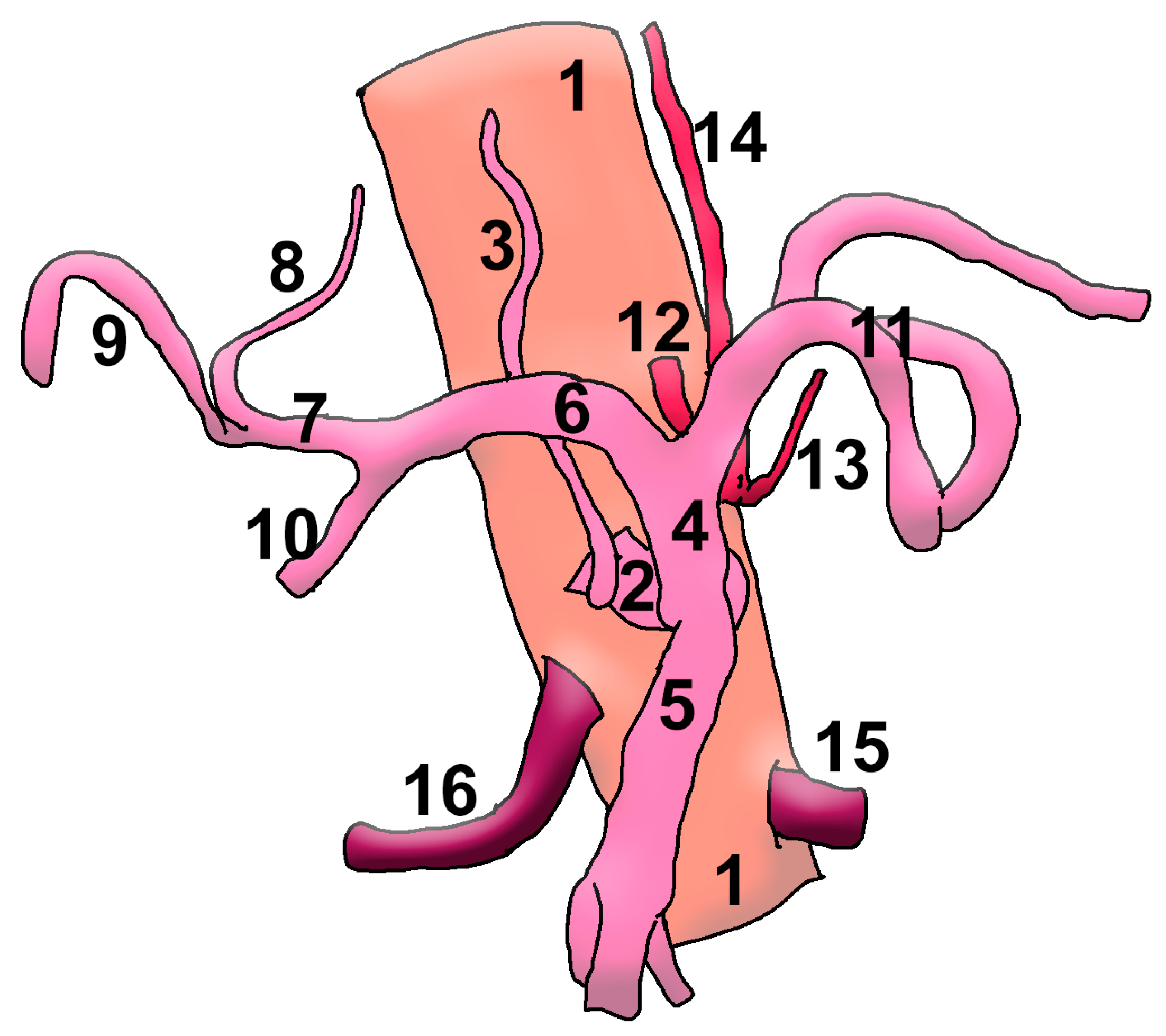 Medicina 57 00170 g003